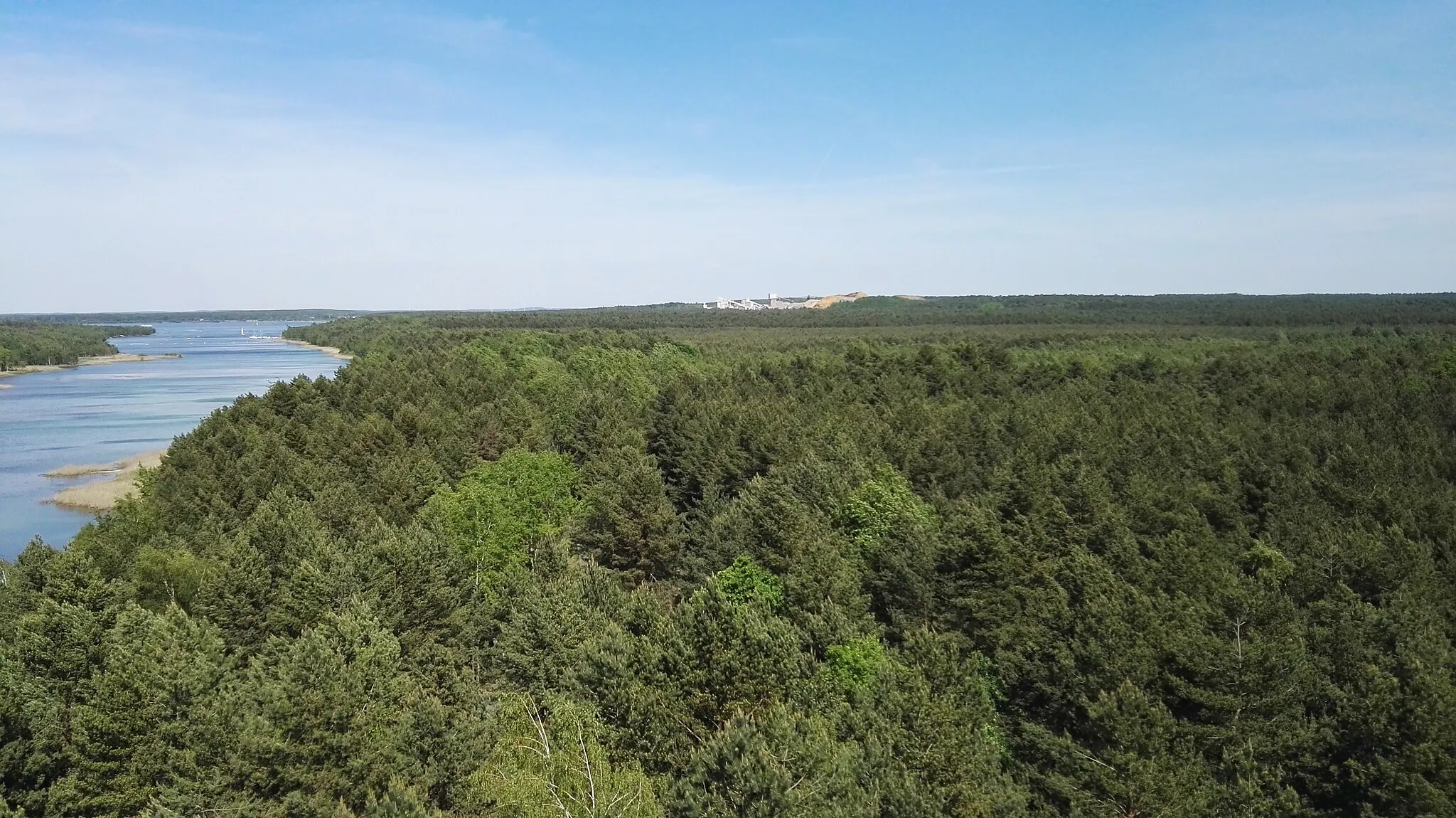 Photo showing: Blick vom Aussichtsturm am Senftenberger See auf den südlichen Bereich des Senftenberger Sees und die Insel, die als Naturschutzgebiet ausgewiesen ist