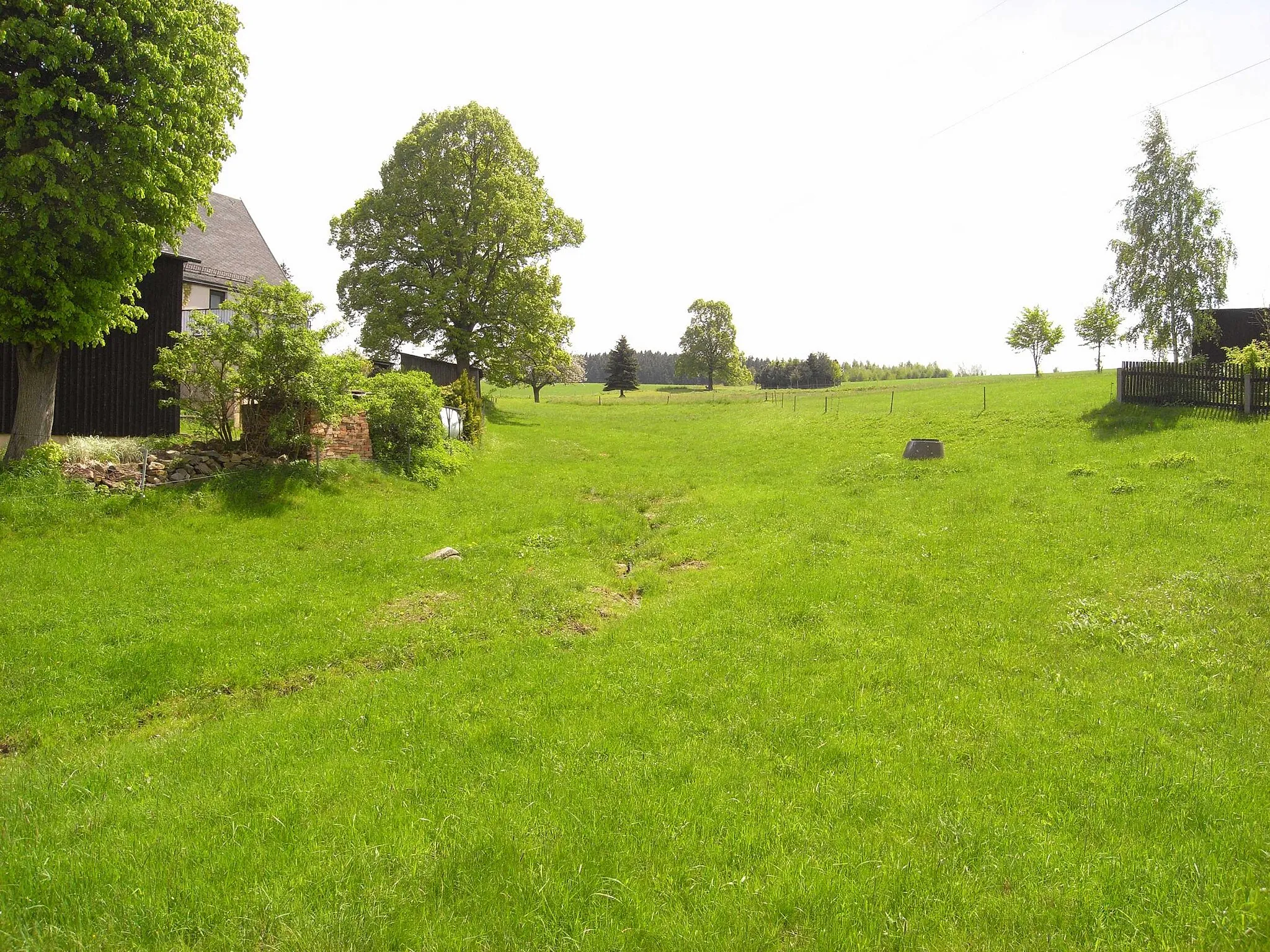 Photo showing: Lockwitzbach (hier Grimmsches Wasser), sein junger Lauf unterhalb der Quellwiesen am oberen Ortsende von Oberfrauendorf (Sachsen, Deutschland)