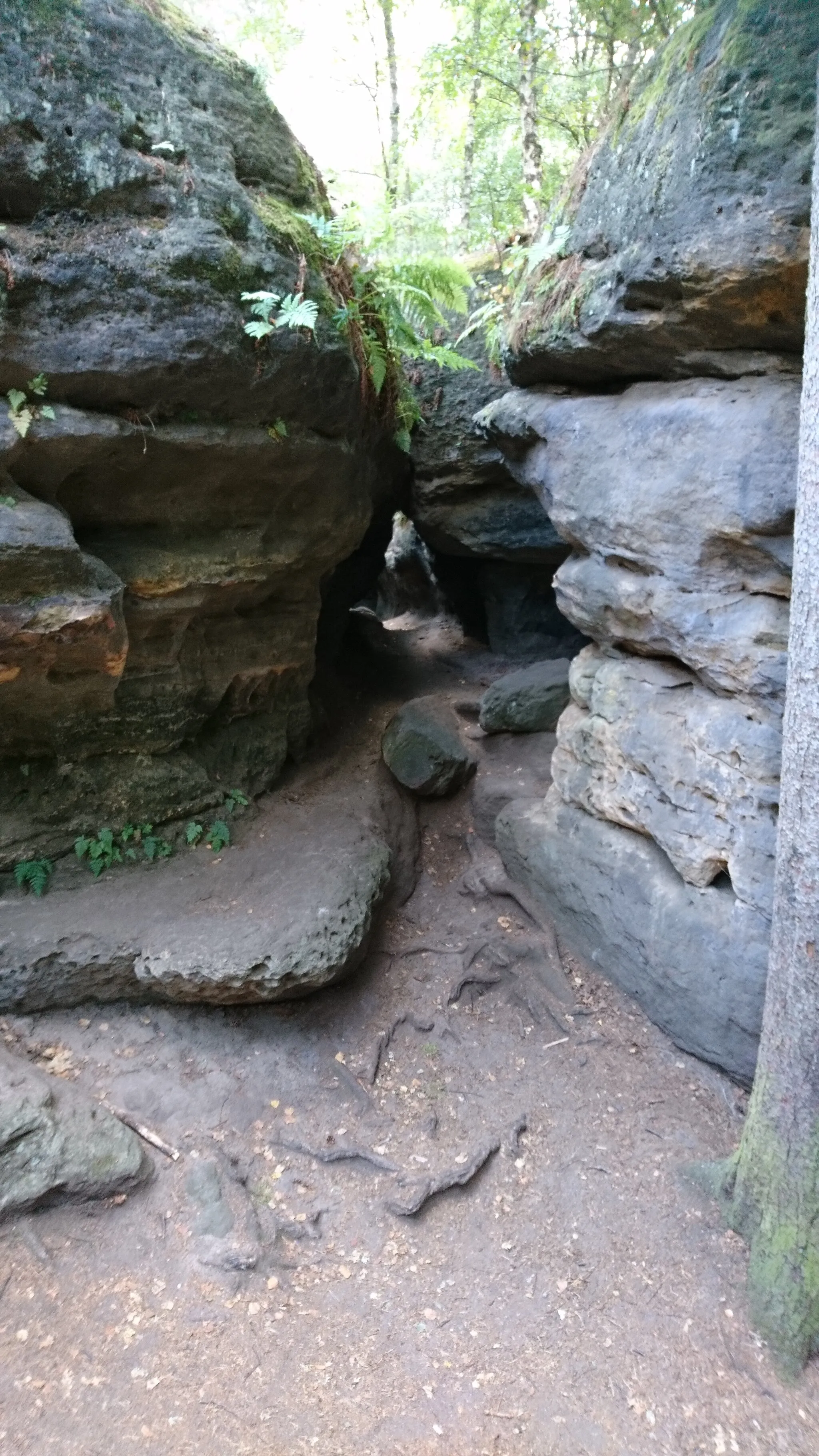 Photo showing: Steinlabyrinth Nikolsdorfer Wände im Elbsandsteingebirge