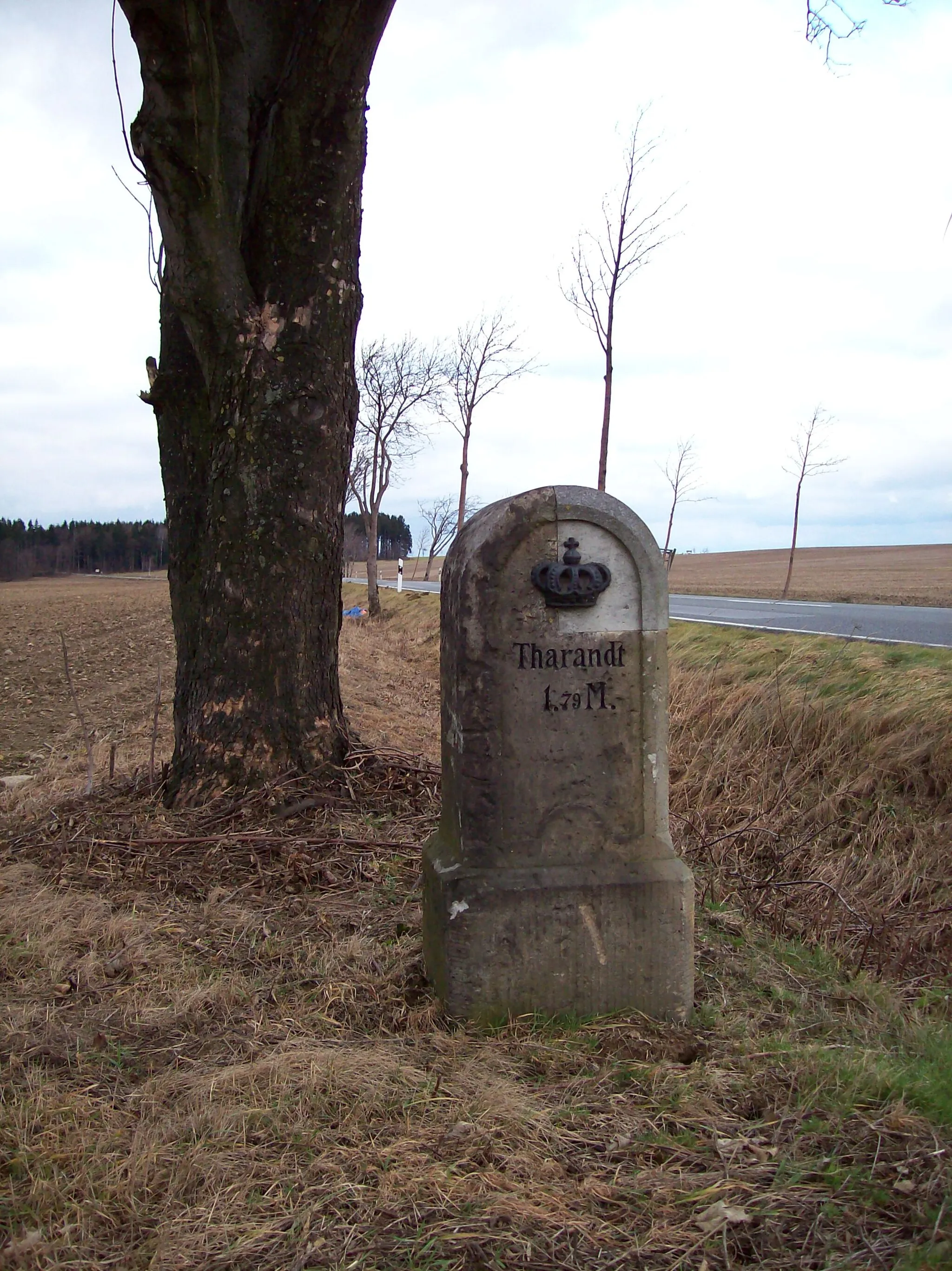 Photo showing: Königlich-sächsischer Ganzmeilenstein an der Staatsstraße in Obercolmnitz