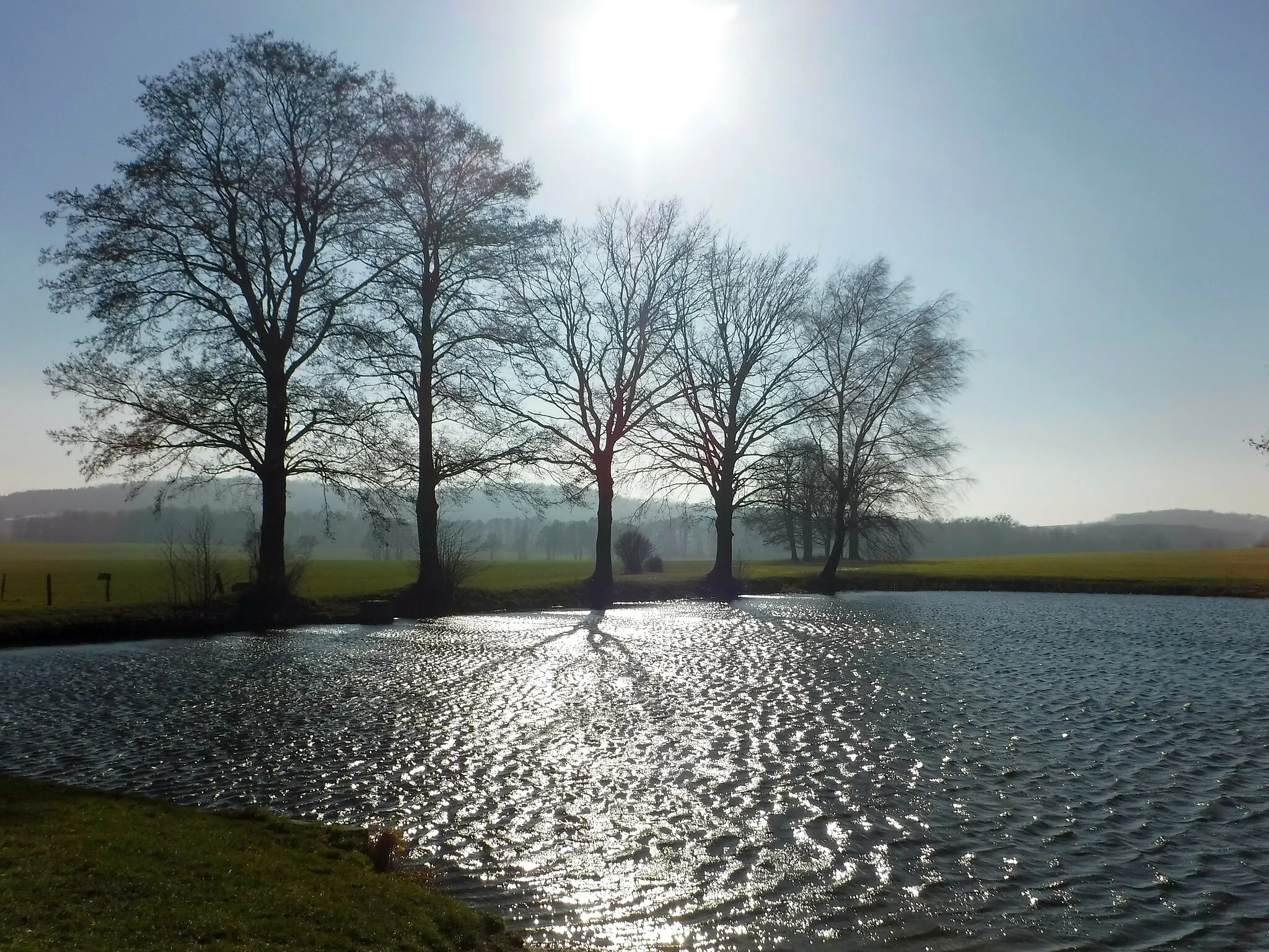 Photo showing: Teich bei Kleinerkmannsdorf