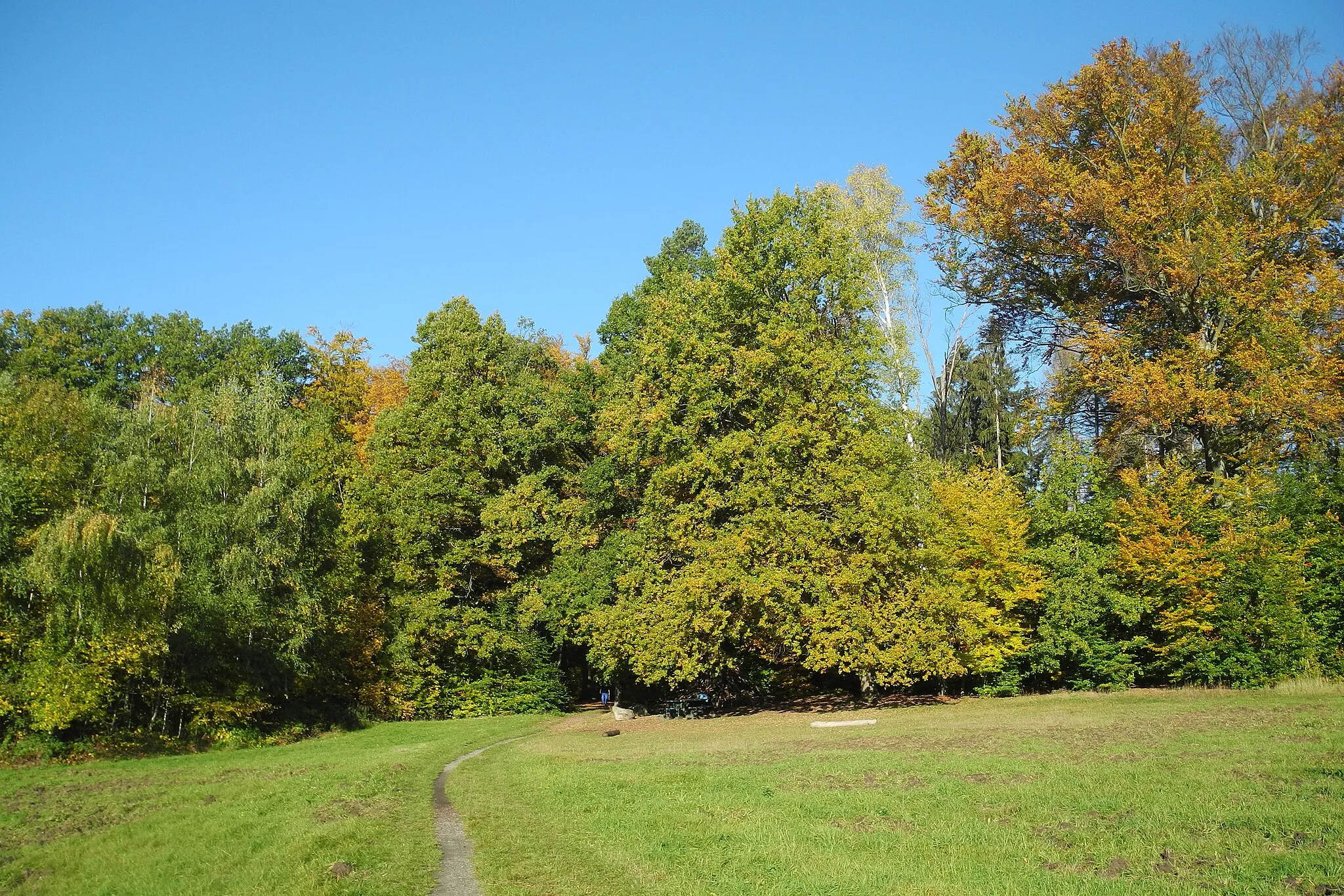 Photo showing: Der Bischofsweg Meißen-Stolpen an der Tanzzipfelwiese in Ullersdorf (Dresdner Heide)