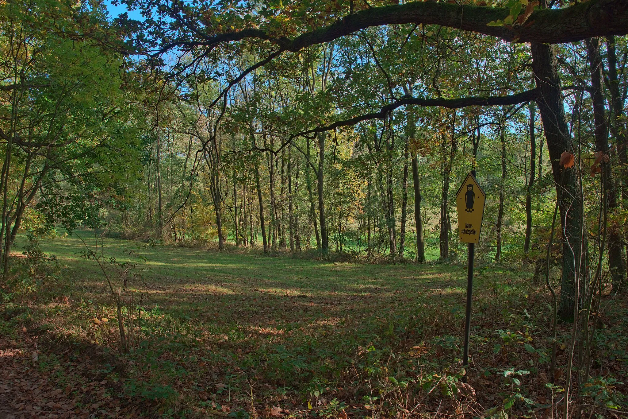 Photo showing: Naturschutzgebiet Winzerwiese und Gosebruch bei Naundörfel