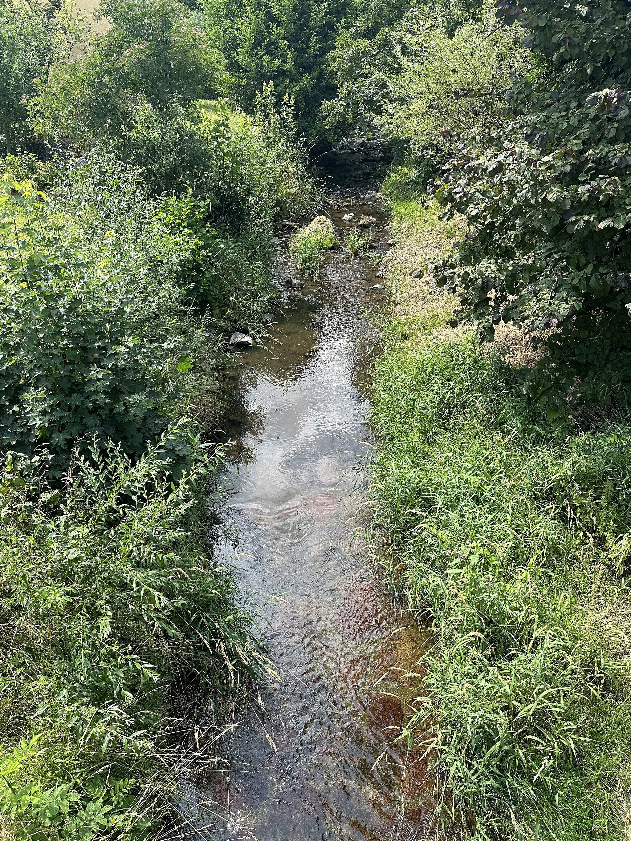 Photo showing: Der Fluss "Wilde Sau" in der Ortslage Constappel