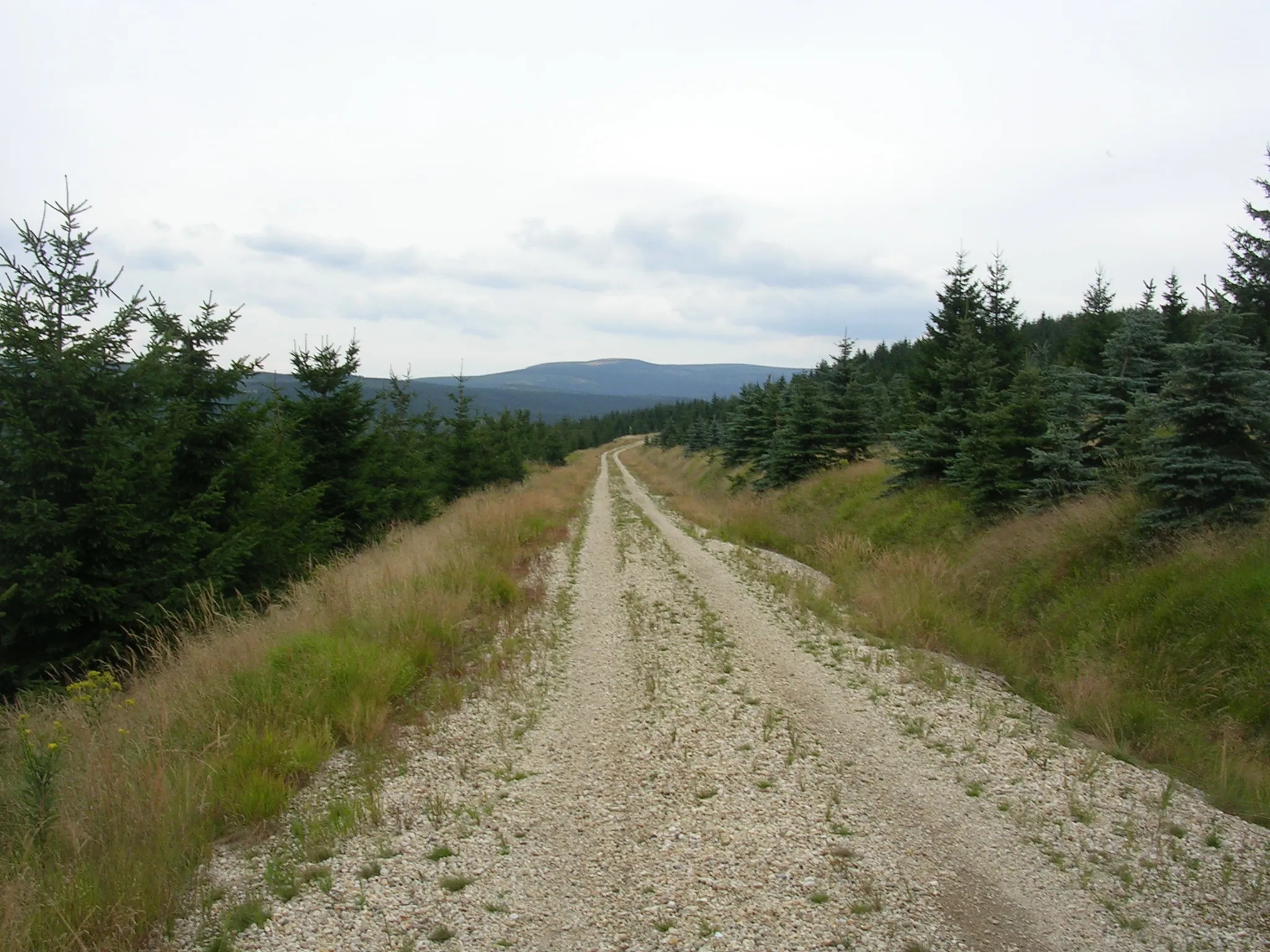 Photo showing: Bílý Potok, Liberec District, Liberec Region. A trail in Jizera Mountains.