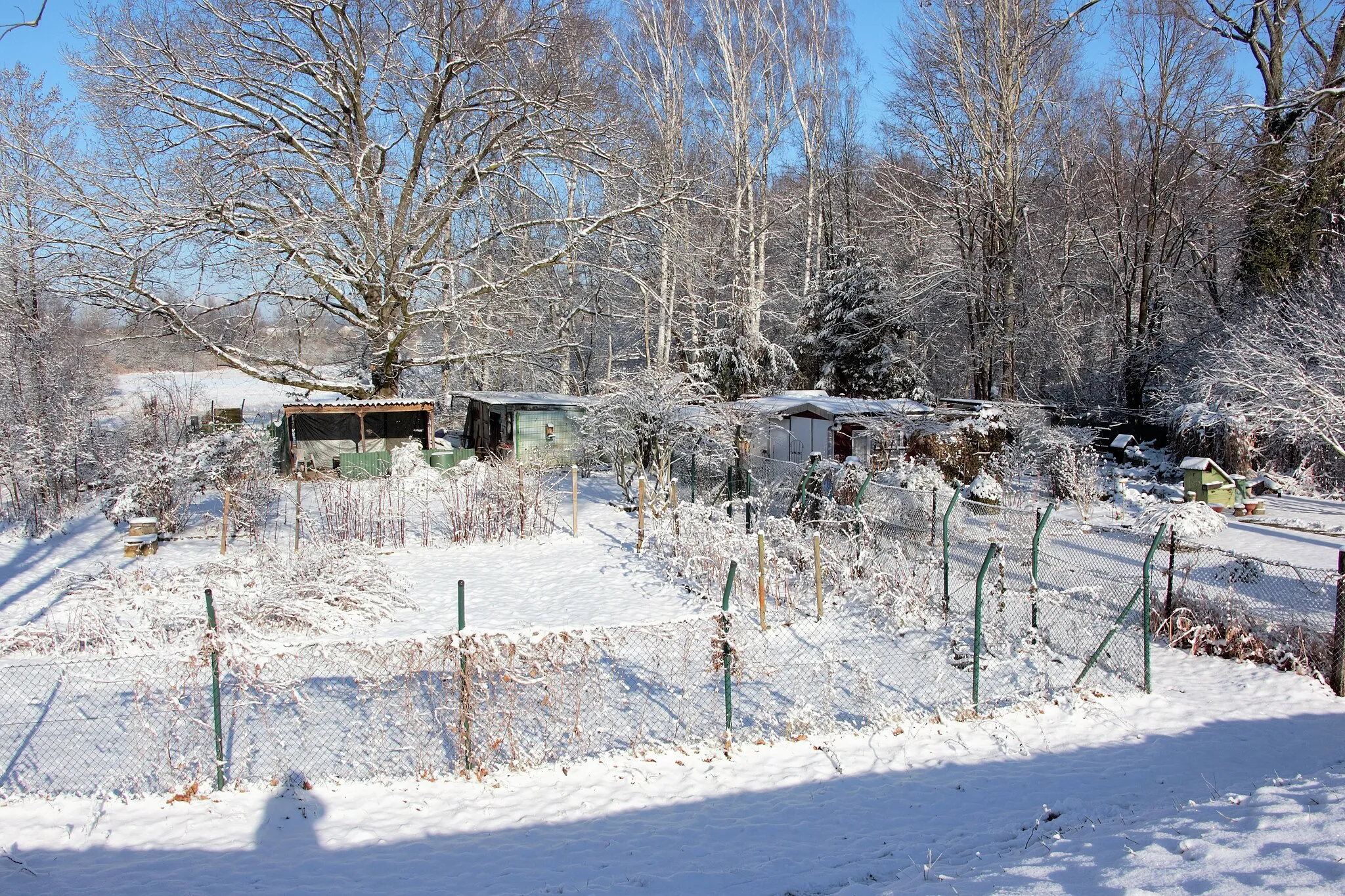 Photo showing: Kleingartenanlage an der Schwarzen Elster bei Kotschka in Elsterwerda