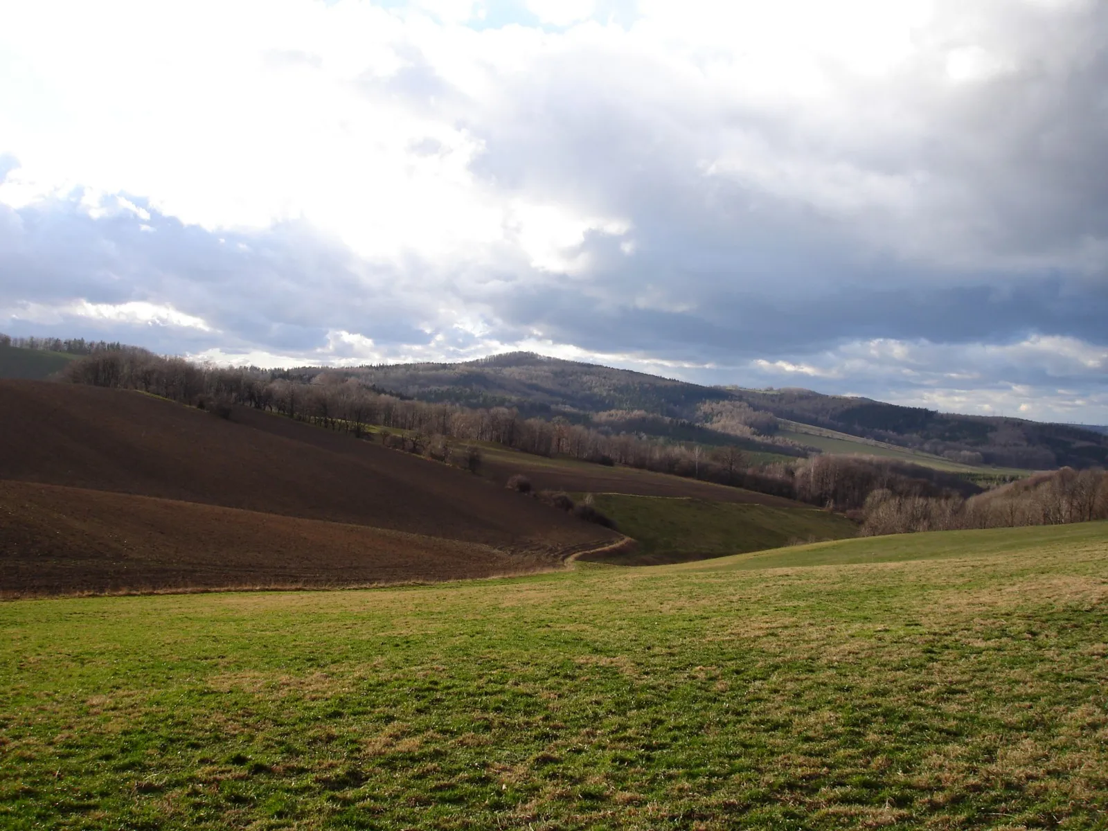 Photo showing: view to mountain Wilisch near Dresden, Saxony, Germany