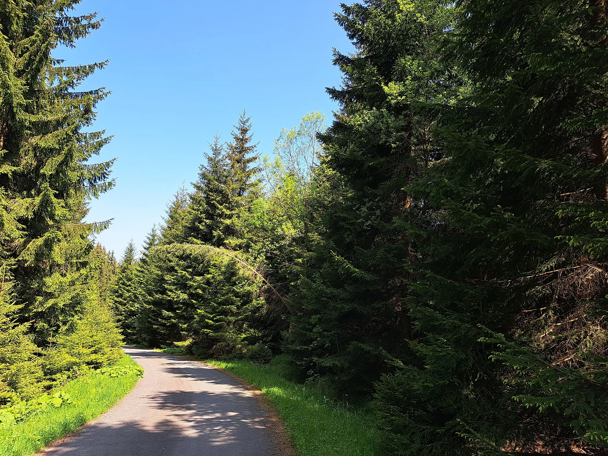 Photo showing: Altenberg: Riesengrundleitenweg im Landschaftsschutzgebiet Osterzgebirge von der B 170 ins Tal zur Ladenmühle