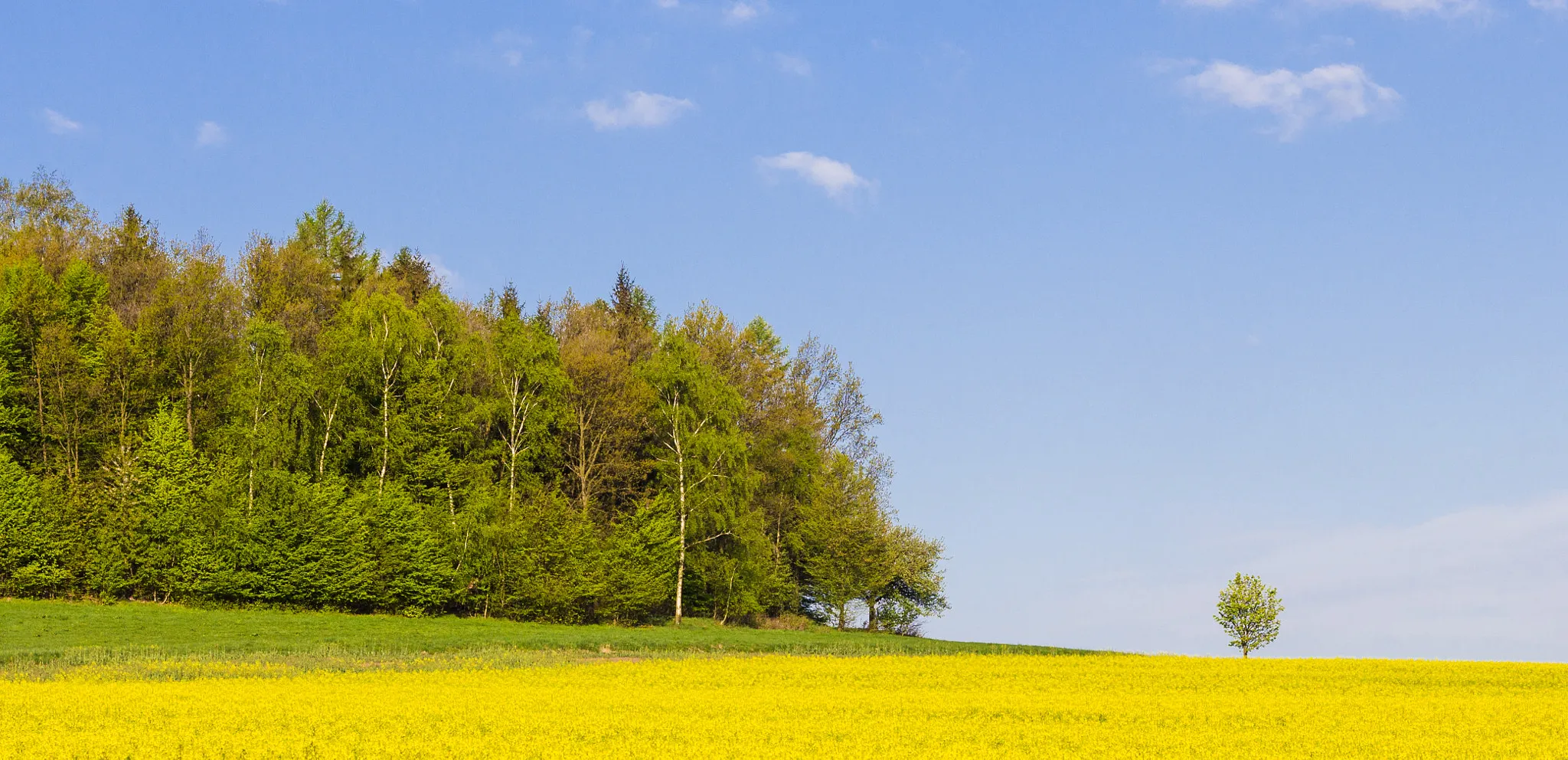 Photo showing: 500px provided description: Der Kleine [#g?rlitz ,#jauernick-buschbach]