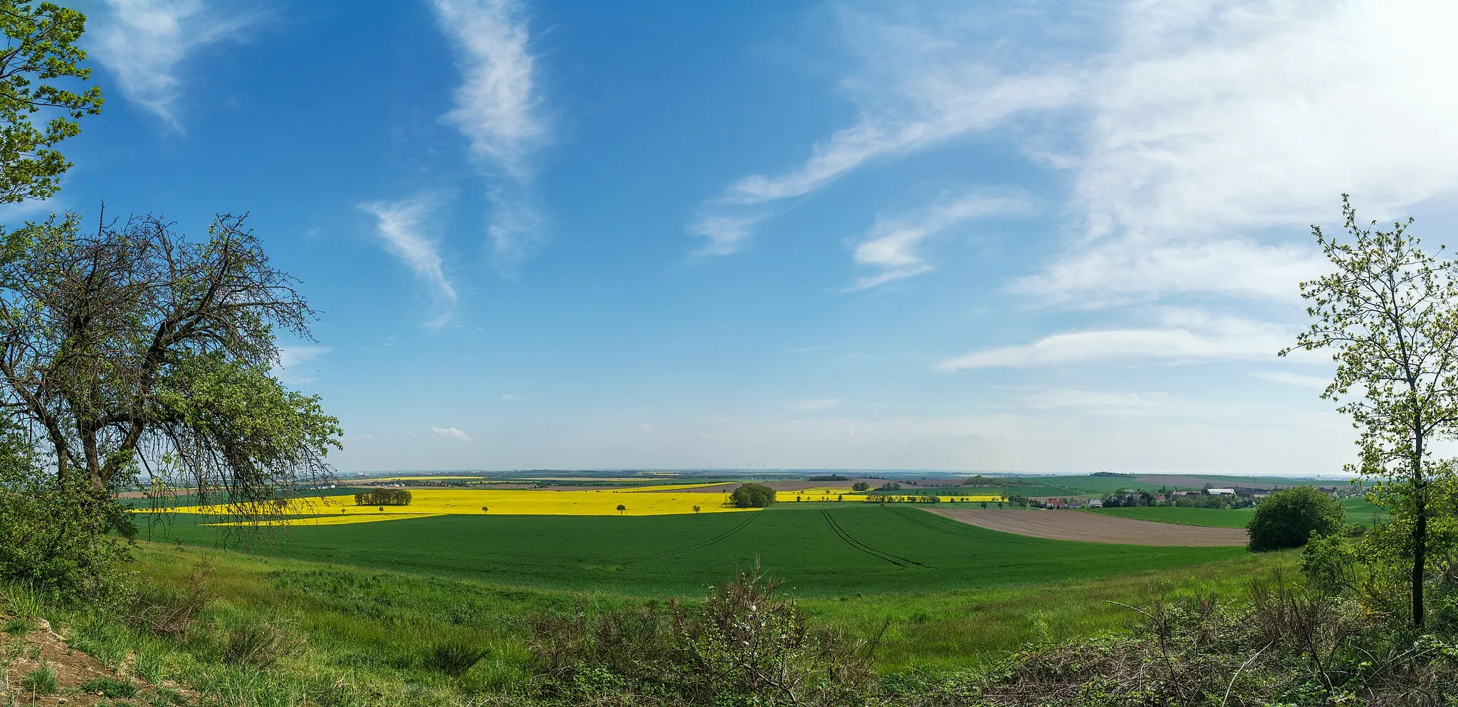 Photo showing: Flächennaturdenkmal Felsklippen Großer Steinberg im Landschaftdschutzgebiet Liebschützer Höhenzug in Liebschützberg OT Clanzschwitz  tdo: 346 ; nso311