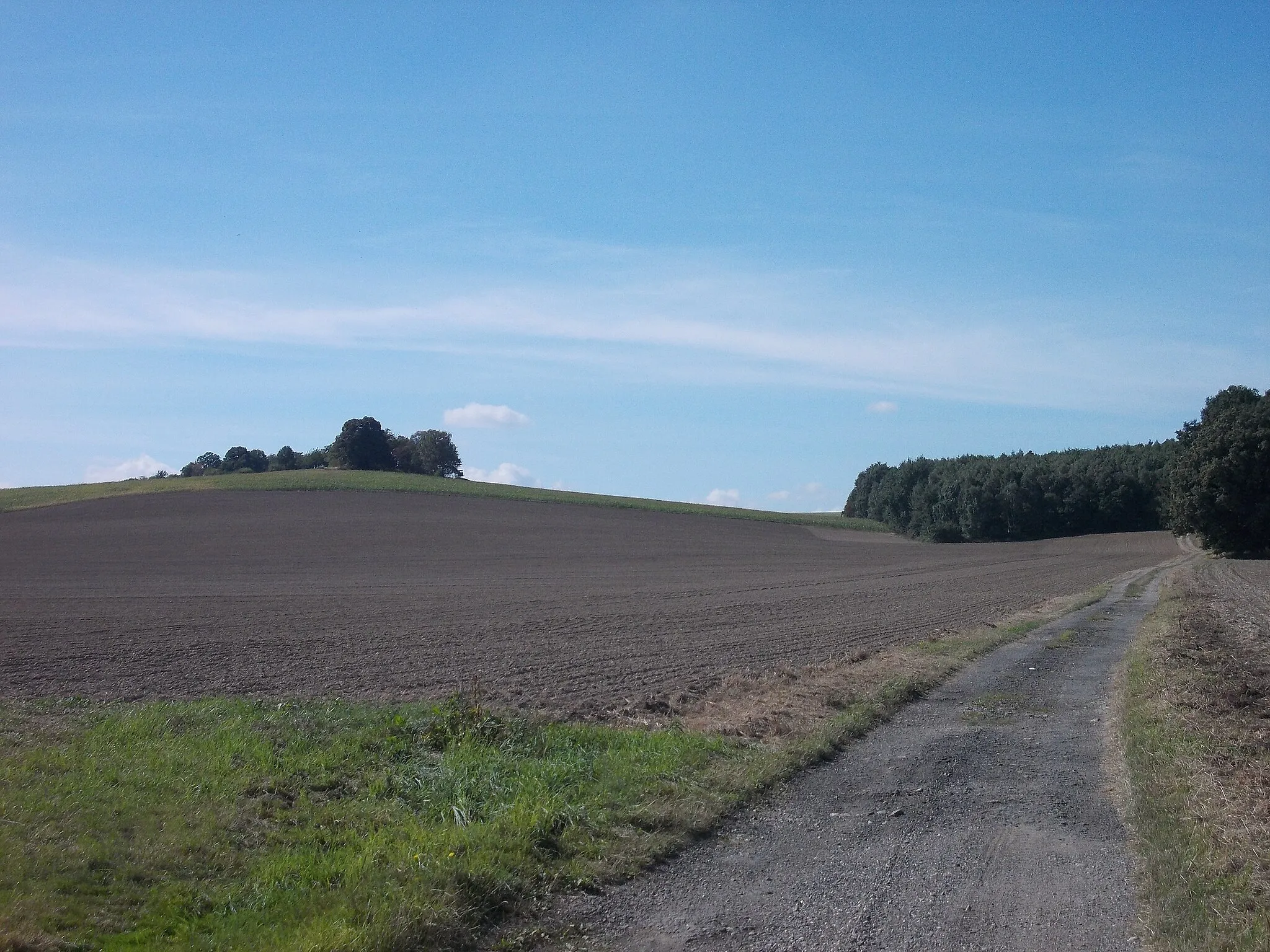 Photo showing: Grosser Steinberg hill between Leckwitz and Clanzschwitz (Liebschützberg, Nordsachsen district, Saxony)