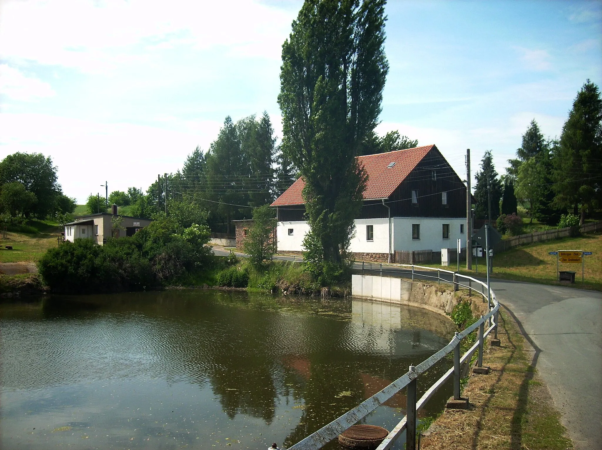 Photo showing: Pond in Dittersdorf (Striegistal, Mittelsachsen district, Saxony)