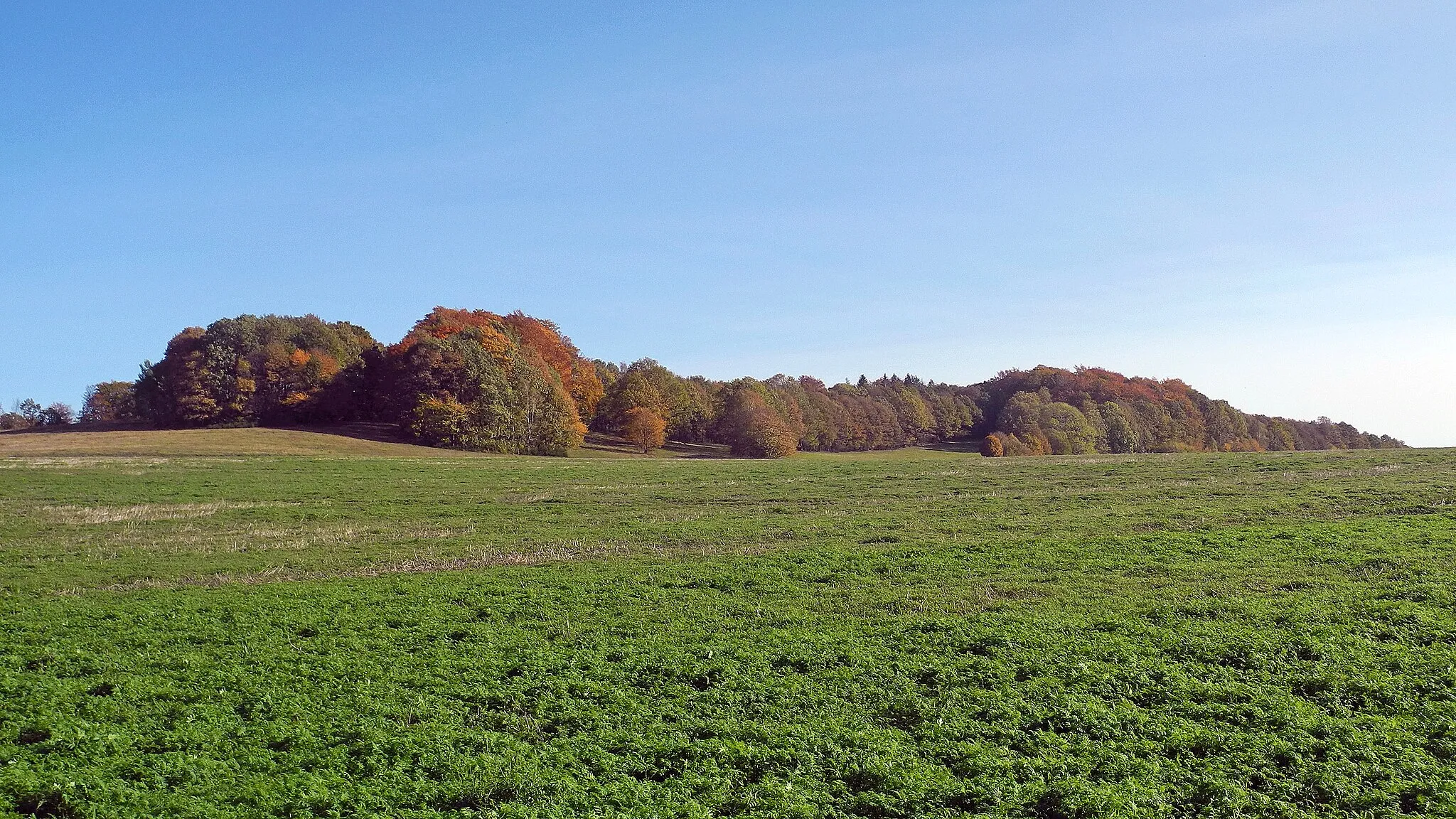 Photo showing: Blick zur Weifaer Höhe (504 m) oberhalb von Weifa in der Oberlausitz