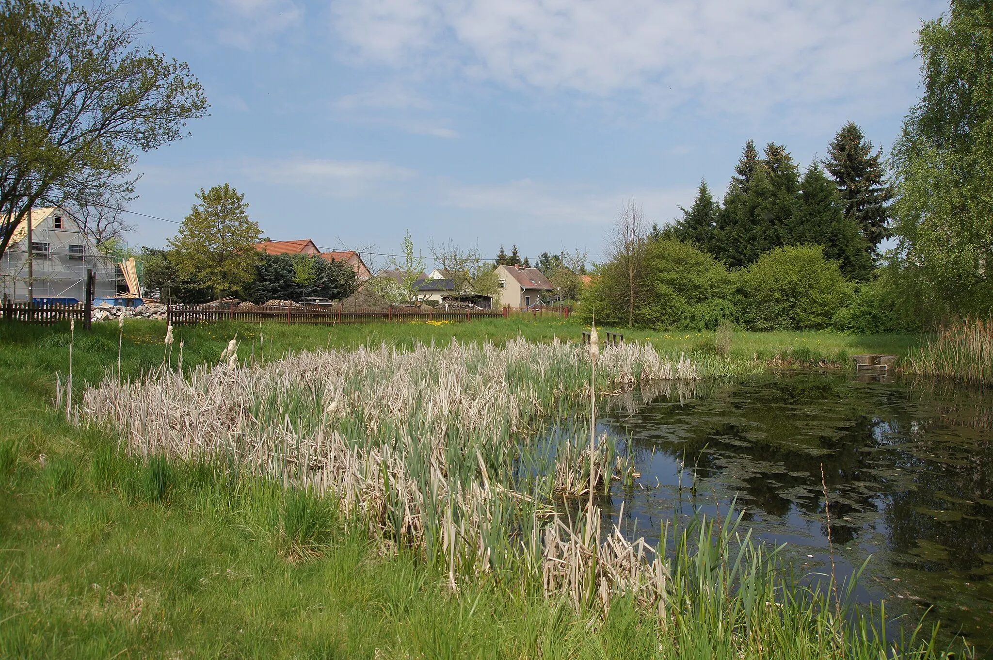 Photo showing: Caminau Dorfteich