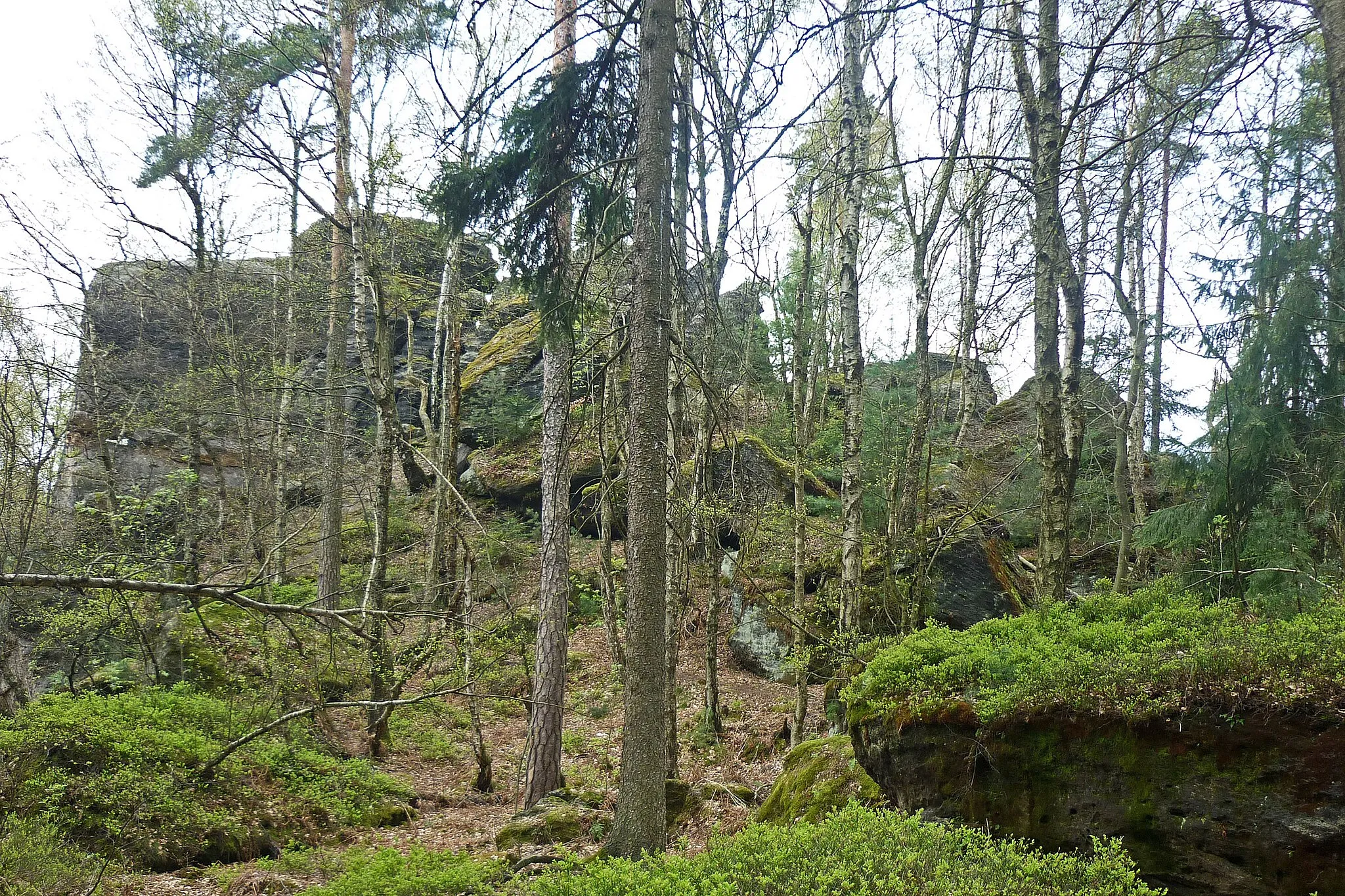 Photo showing: Zeisigstein (551 m) bei Hellendorf (Bad Gottleuba)