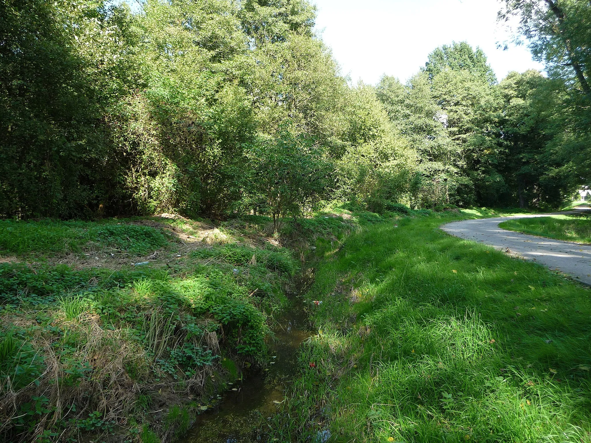 Photo showing: Border stream Oldřichovský potok near the Czech-German-Polish tripoint.