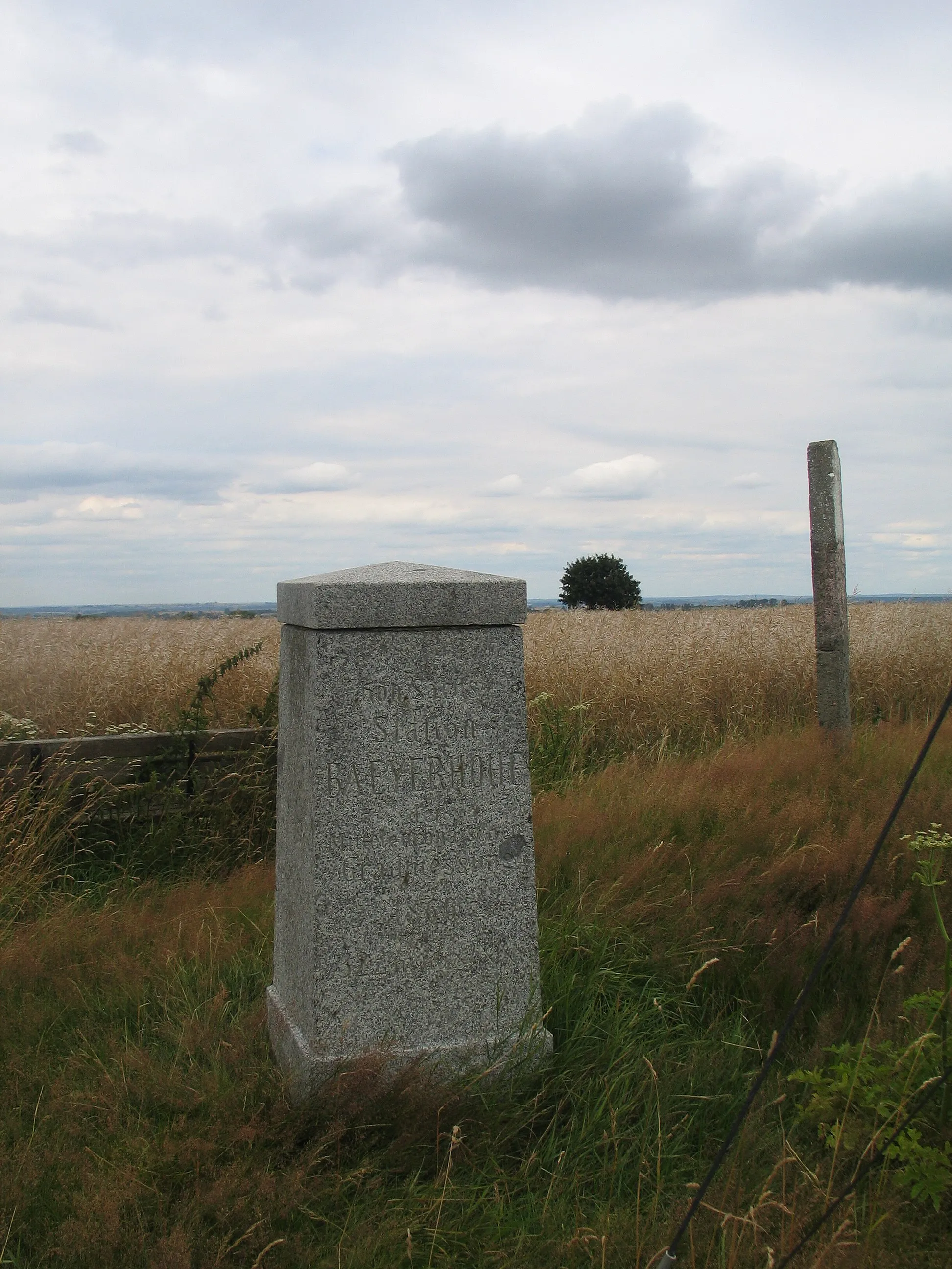 Photo showing: Auf der Baeyerhöhe, der höchsten Erhebung des Landkreises Meißen.