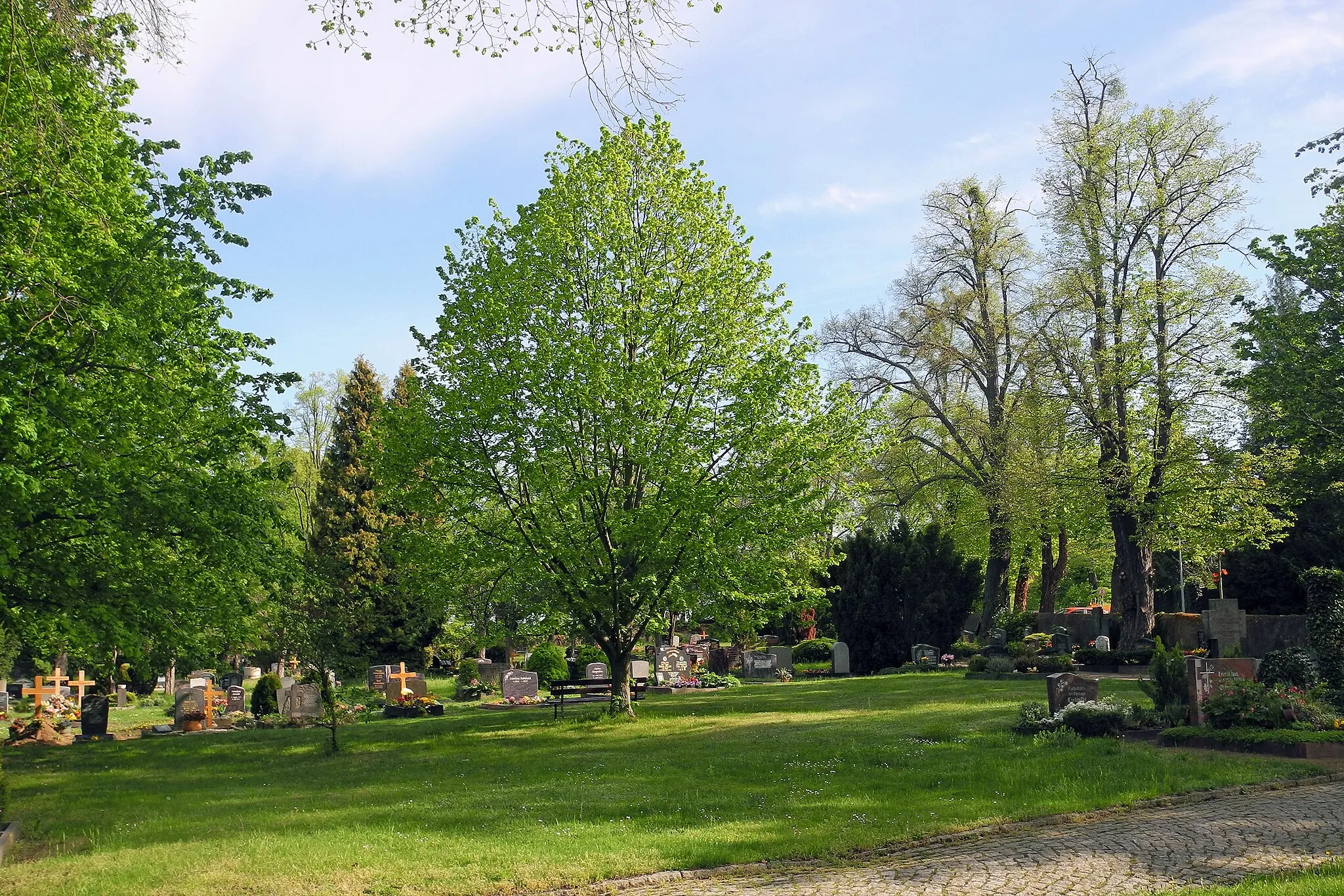 Photo showing: Friedhof in Weixdorf, Hermsdorfer Allee 7 (Gemarkung Lausa)