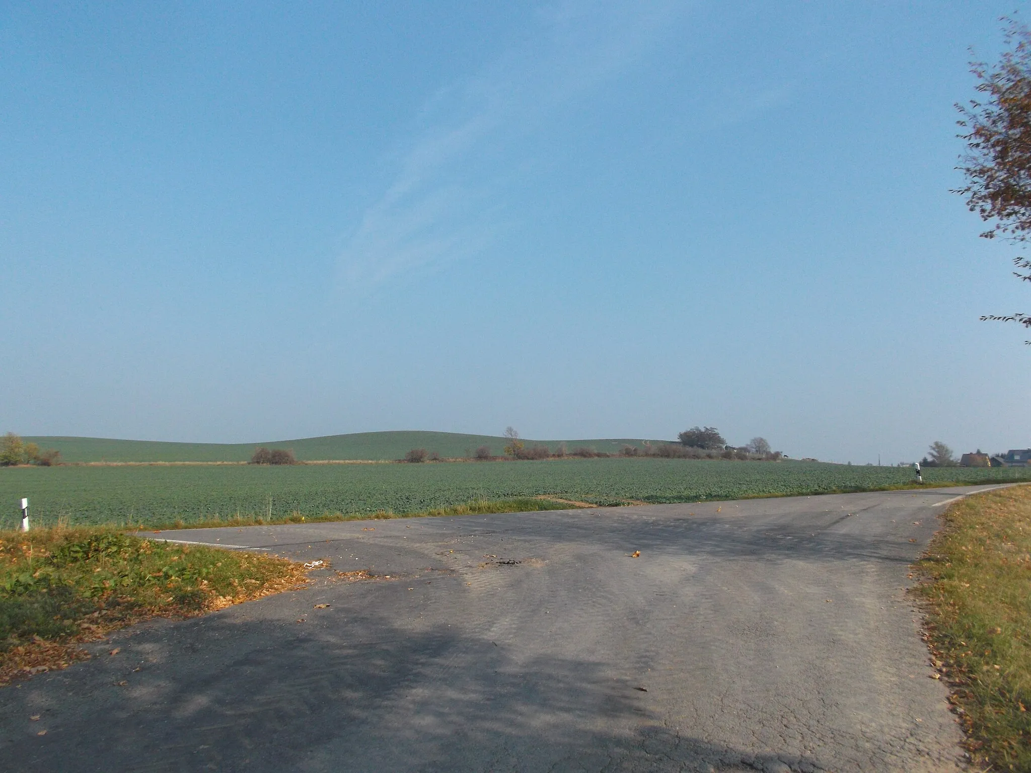 Photo showing: Blick vom O-Weg zur Geierwacht