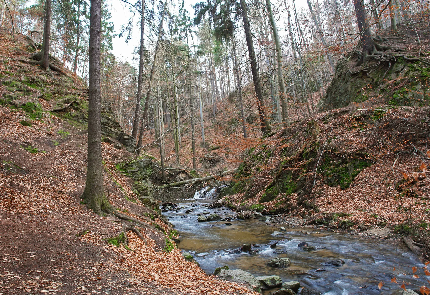 Photo showing: Prießnitz-Wasserfall, Naturdenkmal Nr. 6 in Dresden