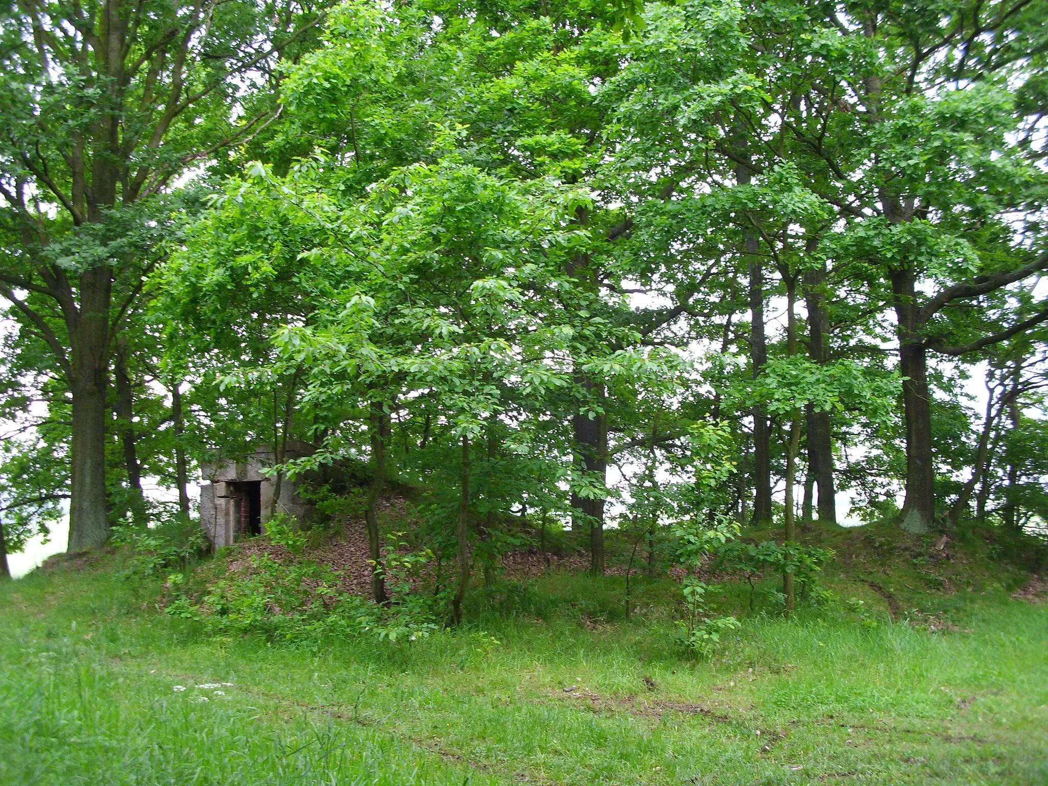 Photo showing: Es diente bis 1960 als Sprenghaus des stillgelegten nahen  Steinbruch, von 1968-1990 führte die aus Rabenau kommende Telefonleitung zum Russischen Beobachtungsbunker in der Dippoldiswalder Heide durch das Häuschen.