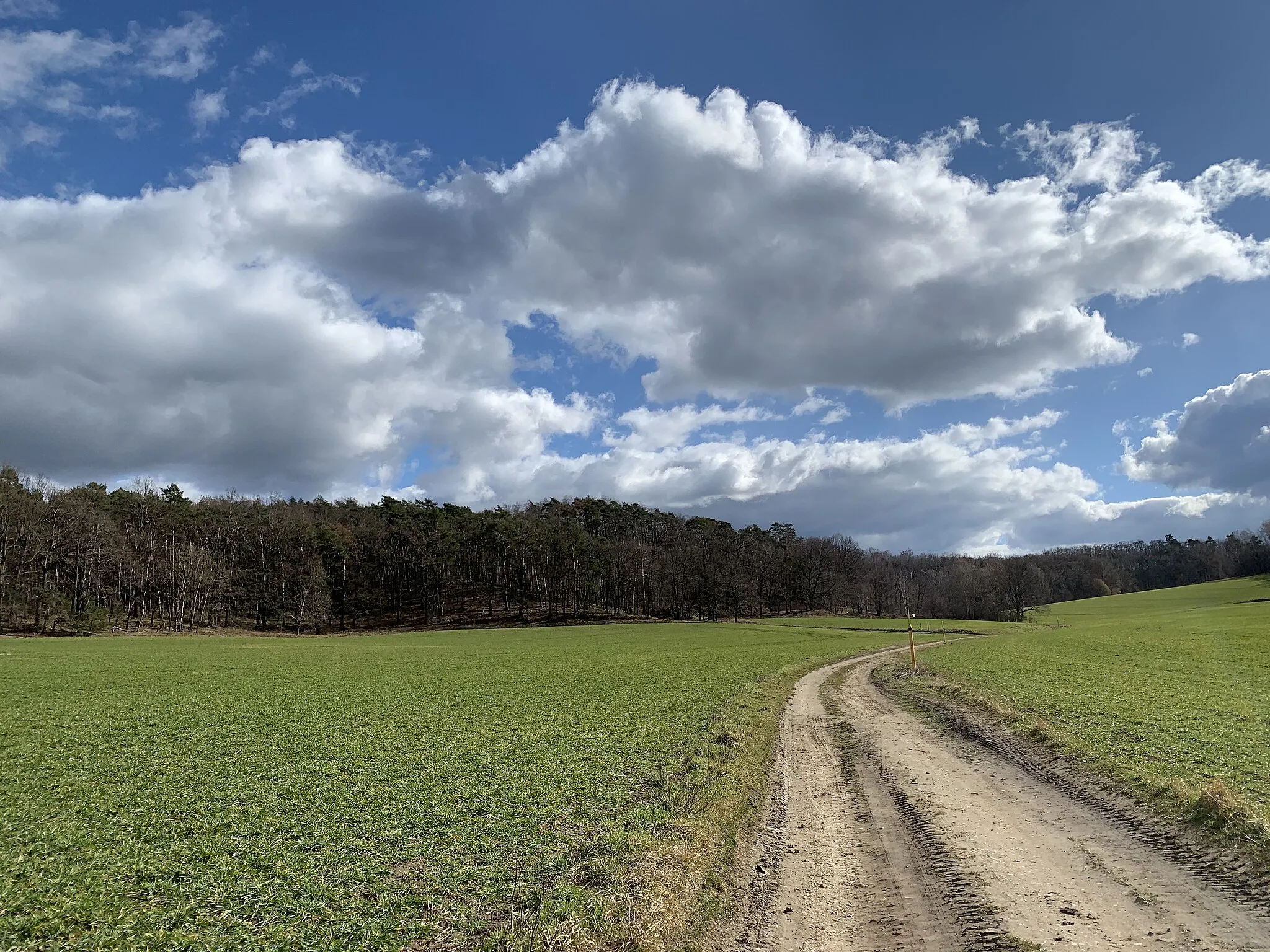 Photo showing: Bild des Kutschenberges (Höchster Berg des Landes Brandenburgs) im Frühjahr 2021.