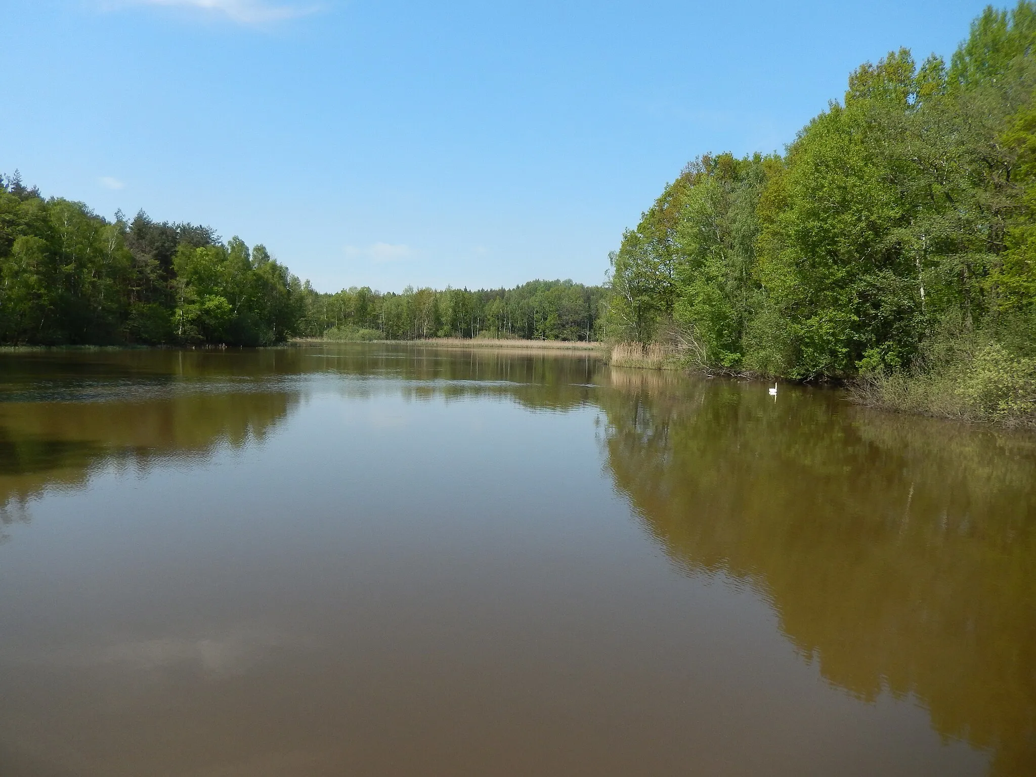 Photo showing: Moritzburg-Kleinkuppenlandschaft, Bauernsee. FHH-Gebiet:  Moritzburg Wiesen und Wälder, Gebietsnummer 4847-302. Landschaftsschutzgebiet. Friedewald, Moritzburger Teichlandschaft und Lößnitz: Code 320894