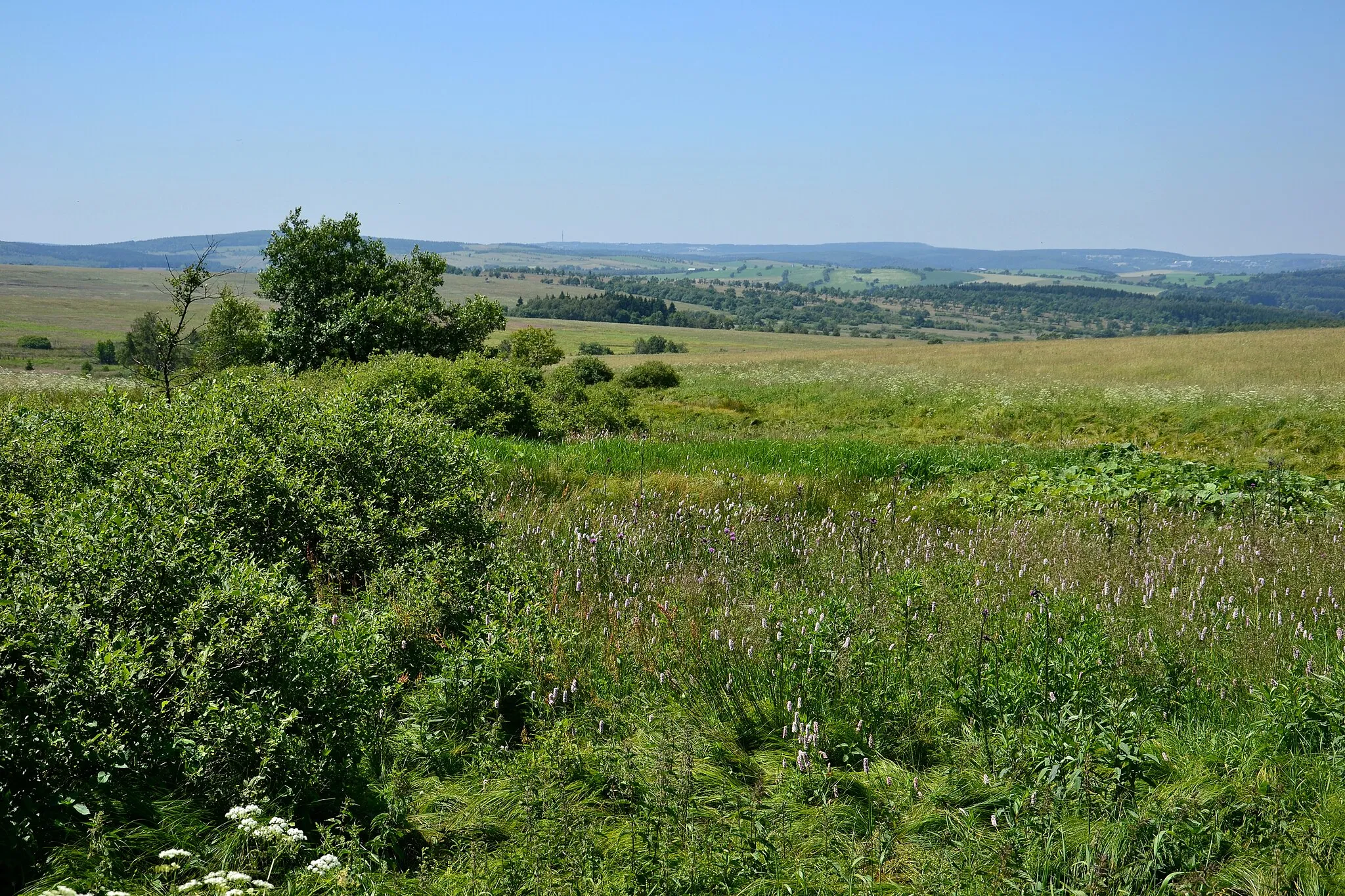Photo showing: Východní část chráněného území