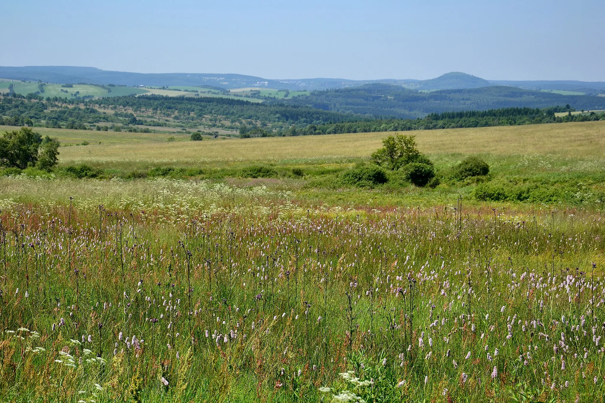 Photo showing: Východní část chráněného území