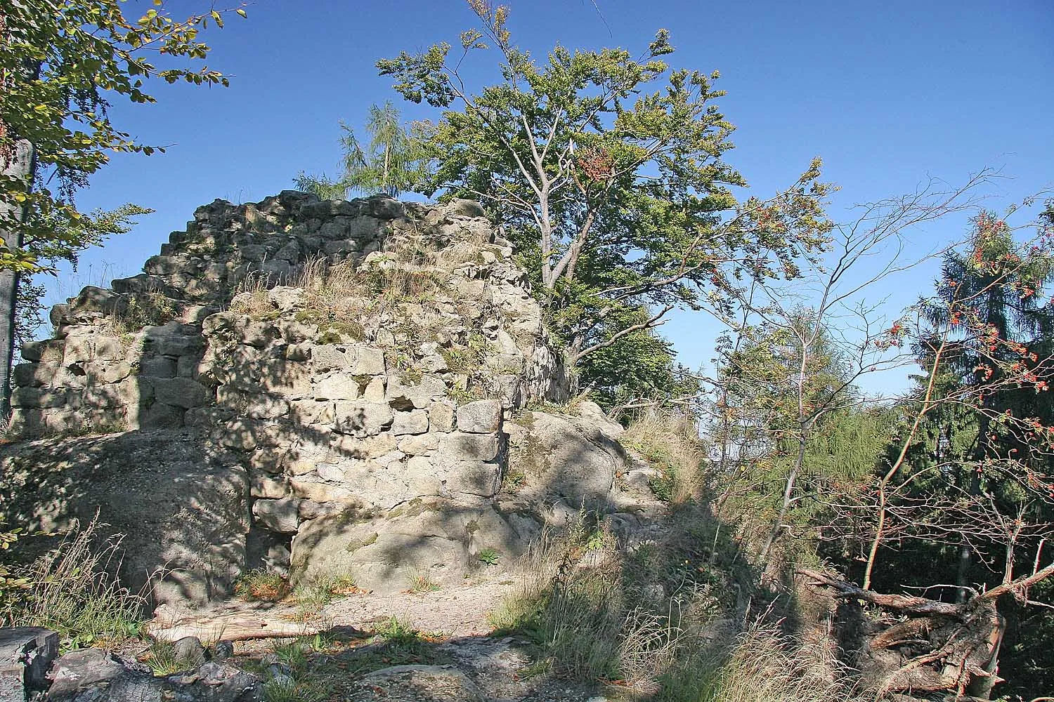 Photo showing: Ruine der Burg Karlsfried near Town Zittau in Sachsen, Germany
autor: Prazak

date: 22. 9. 2006