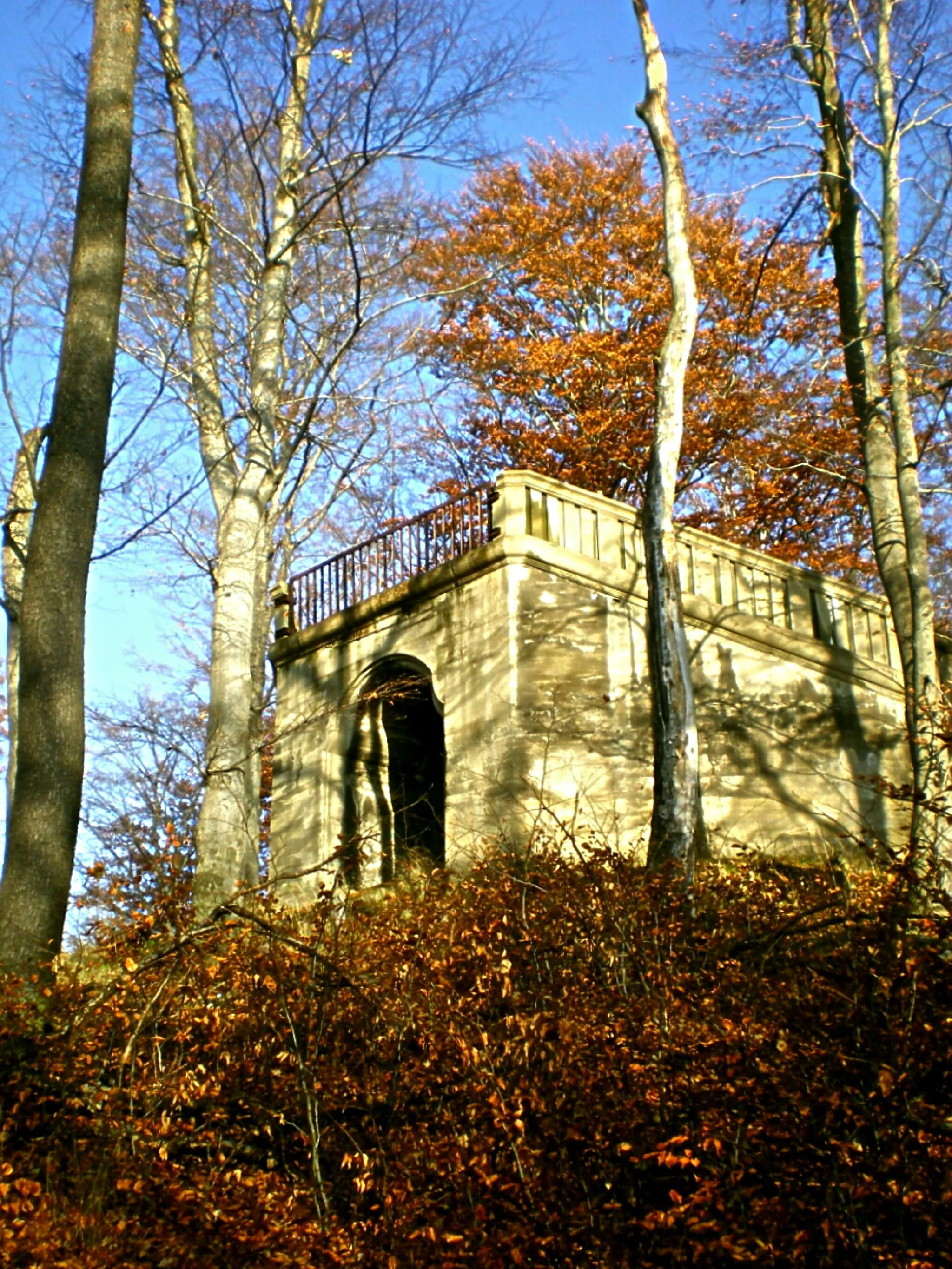 Photo showing: Der Wolfshügelturm war ein Aussichtsturm auf dem 211 m hohen Wolfshügel am Ostrand des Albertparks in der Dresdner Heide. Der 25 Meter hohen Stahlbeton-Turm wurde einst vom Stadtbaurat Hans Erlwein erschaffen. Eine Bürgerinitiative aus Dresden möchte in der Stelle wieder einen Turm bauen.