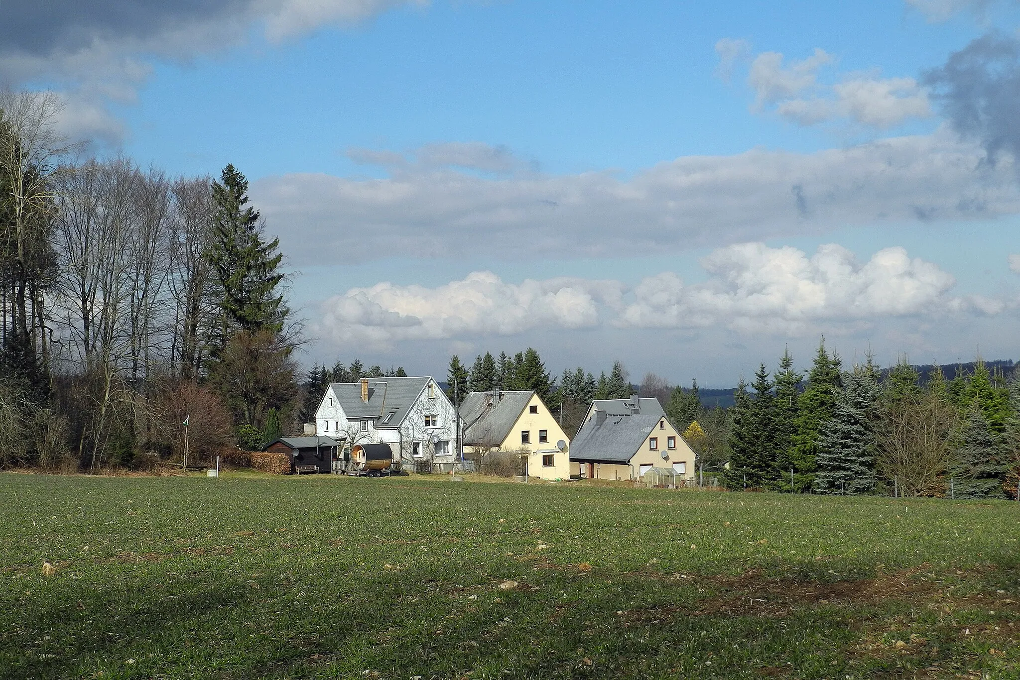 Photo showing: Blick auf die oberen Häuser am Hochwaldweg in Steinigtwolmsdorf, Hochwaldweg 47-51