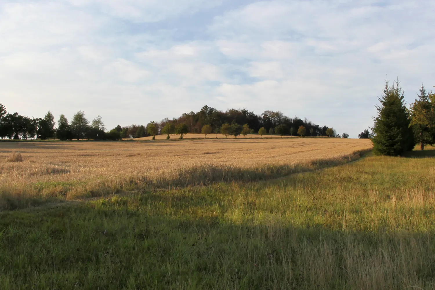 Photo showing: Der Krohnenberg in Bretnig-Hauswalde