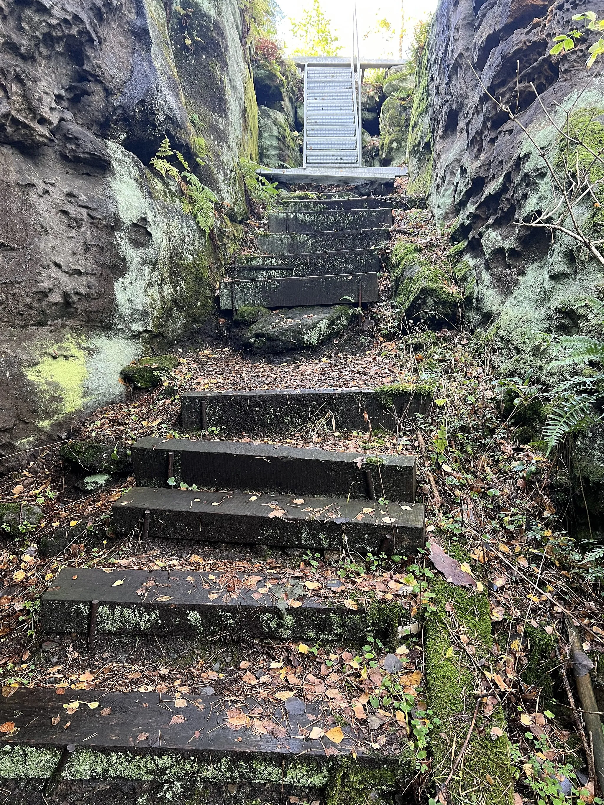 Photo showing: Ostaufstieg zum Spanghorn in Königstein, Landkreis Sächsische Schweiz, Sachsen, Deutschland. Das Spanghorn ist ein 314 Meter Sandsteinfelsen im Landschaftsschutzgebiet Sächsische Schweiz.