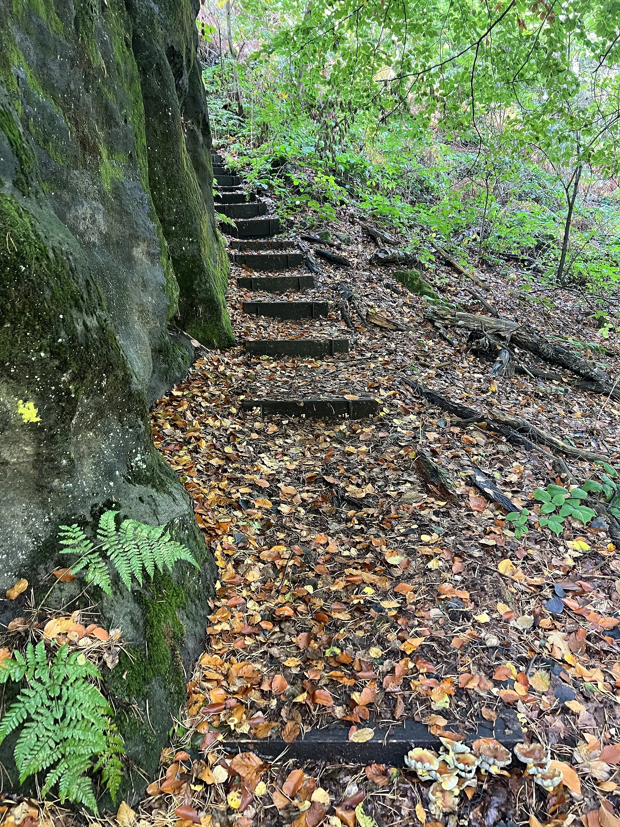 Photo showing: Ostaufstieg zum Spanghorn in Königstein, Landkreis Sächsische Schweiz, Sachsen, Deutschland. Das Spanghorn ist ein 314 Meter Sandsteinfelsen im Landschaftsschutzgebiet Sächsische Schweiz.