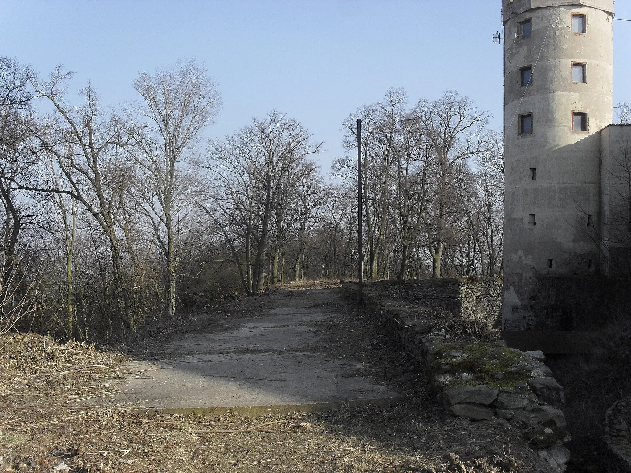 Photo showing: Hrad Doubravská hora, hradní zřícenina, a dominanta města Teplice.