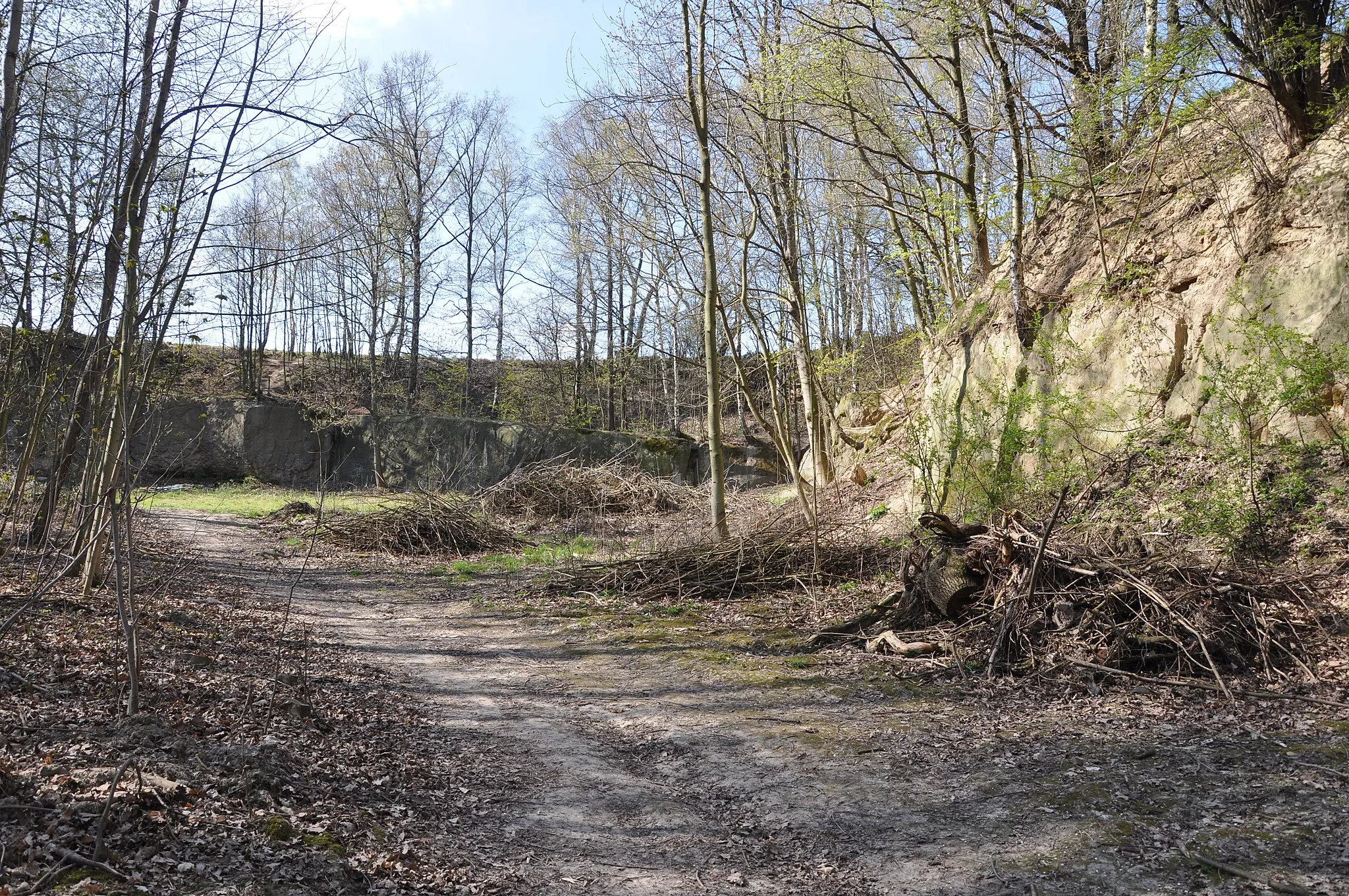 Photo showing: Ehemaliger Sandsteinbruch am Horkenberg in Bannewitz