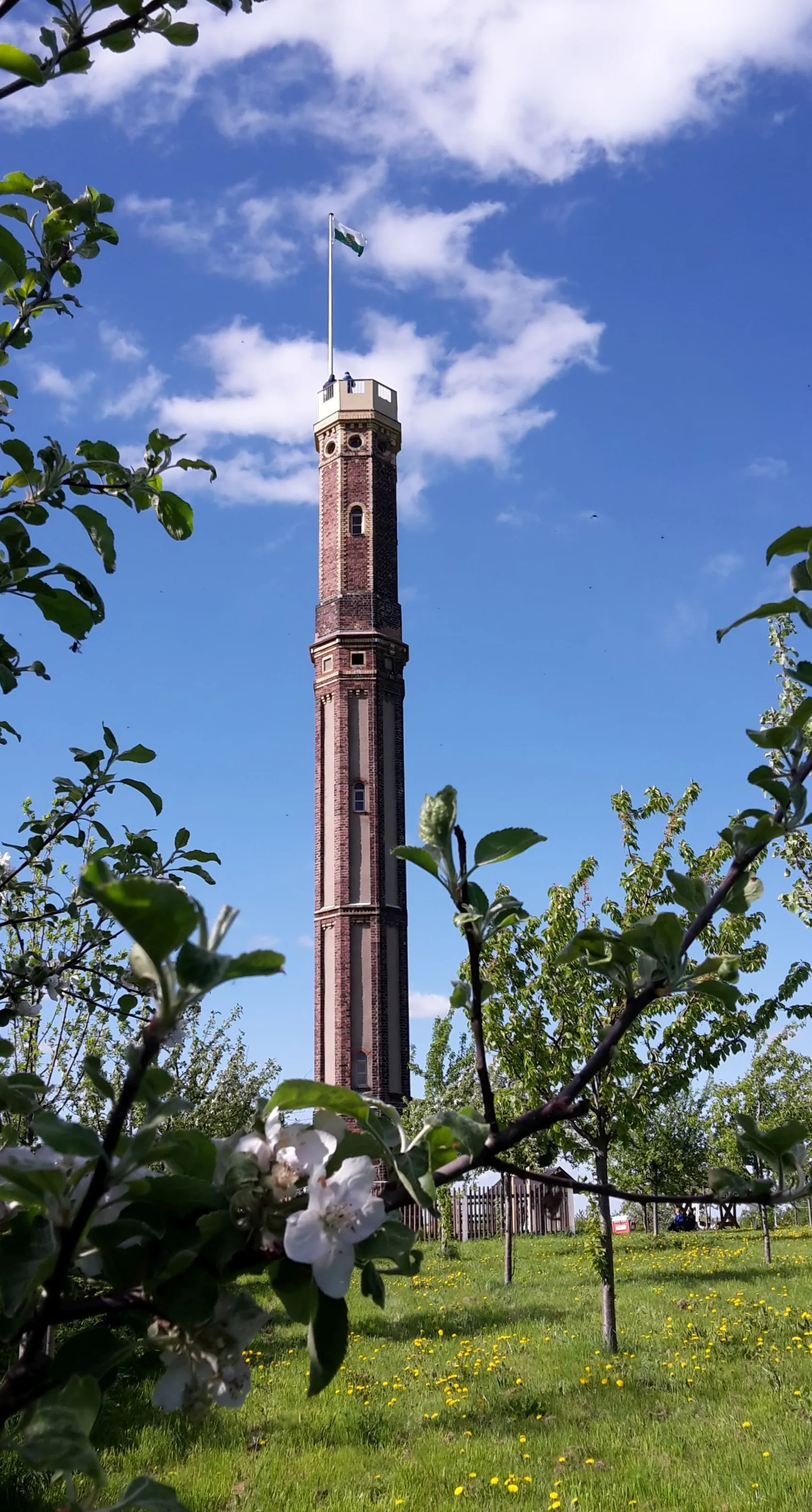 Photo showing: Aussichtsturm Böhrigen in Striegistal