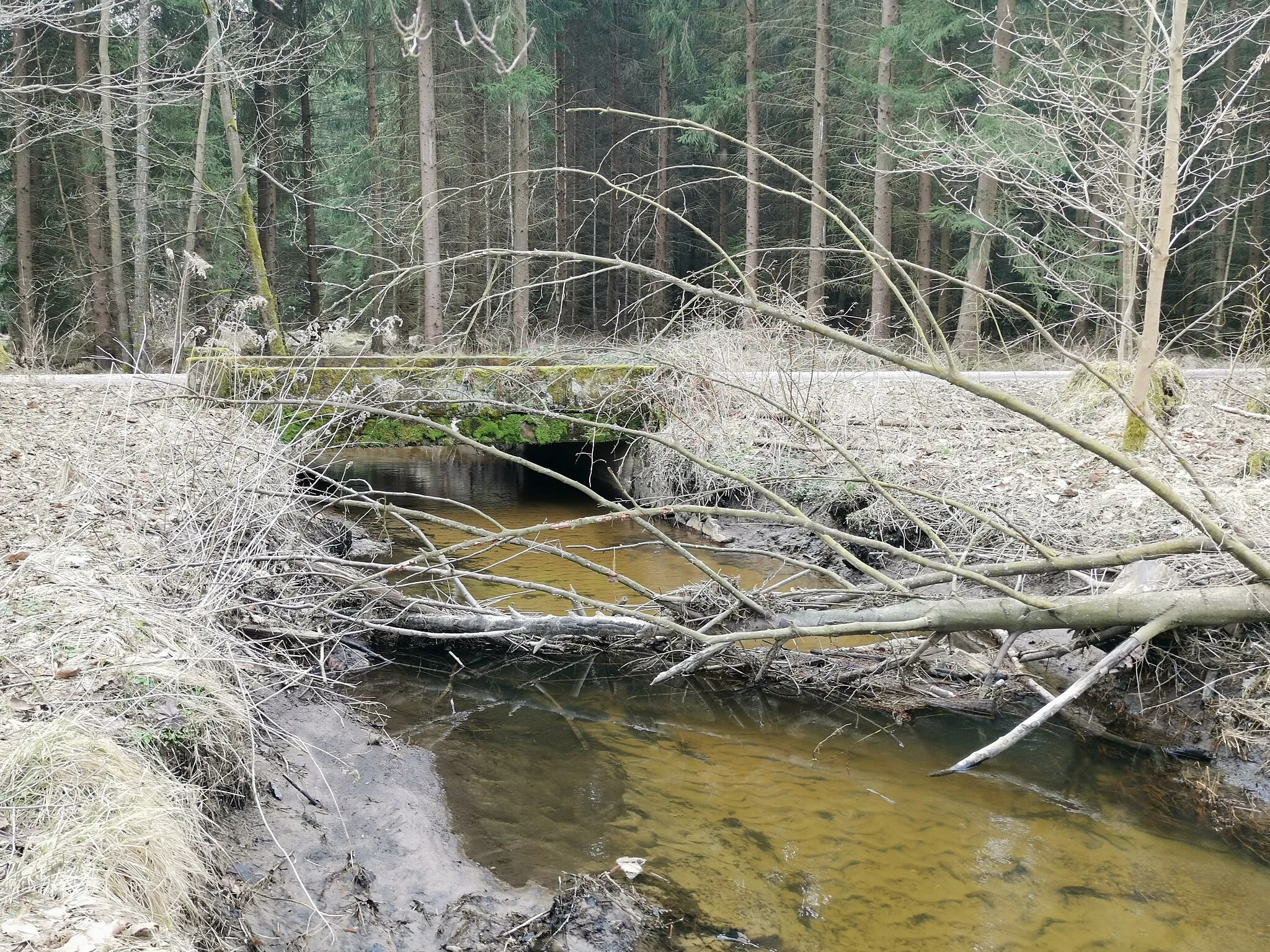 Photo showing: Prießnitz in der Dresdner Heide