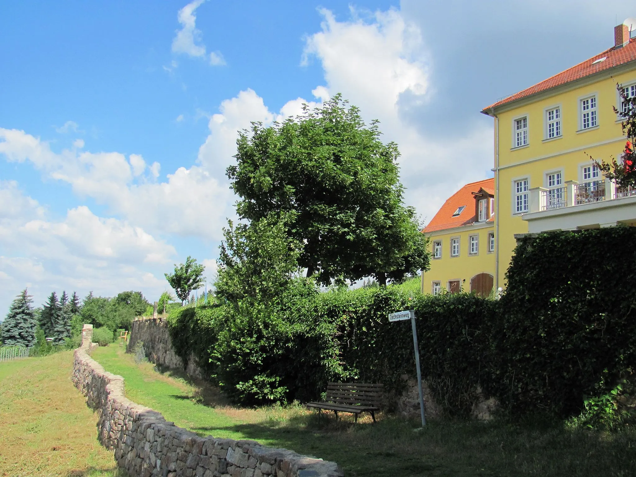 Photo showing: Radebeul, Zechsteinweg unterhalb von Herrenhaus Zechstein (Lößnitz)