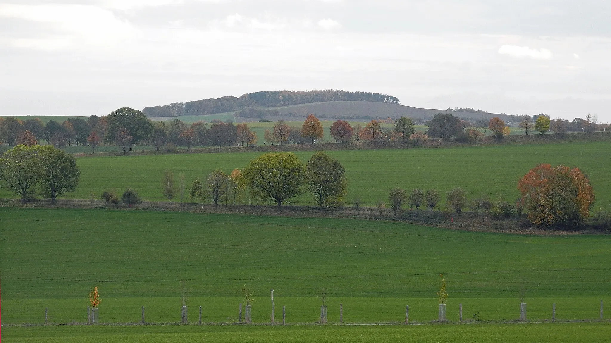 Photo showing: Blick vom Taubenberg in Dresden-Bühlau zum Triebenberg (383 m), höchster Punkt der Stadt Dresden.