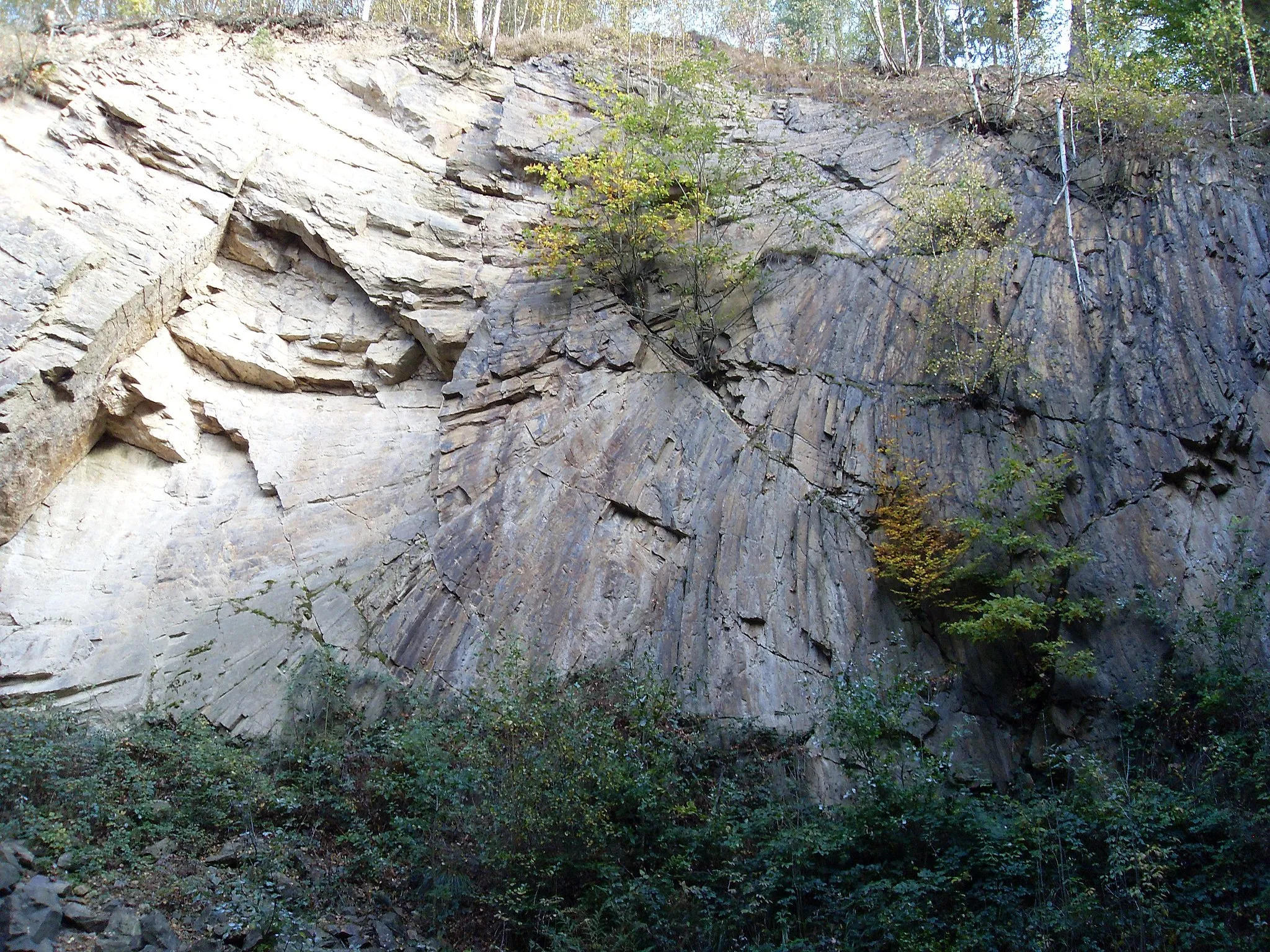 Photo showing: Porphyrfächer (Ignimbrite) in the Tharandter Wald (Tharandt Forest)