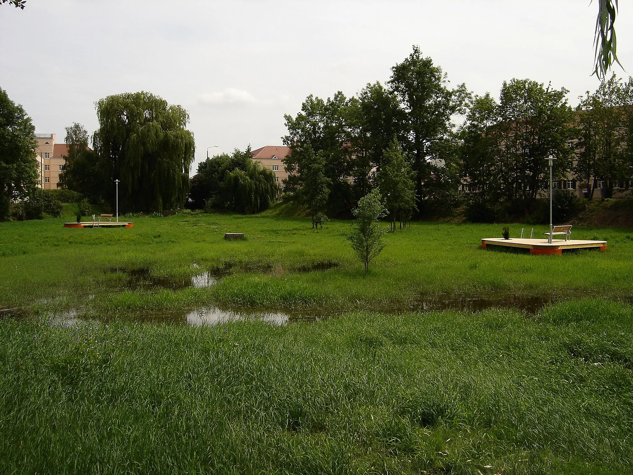 Photo showing: Hugo Bürkner Park in Dresden-Strehlen (flood detention basin)