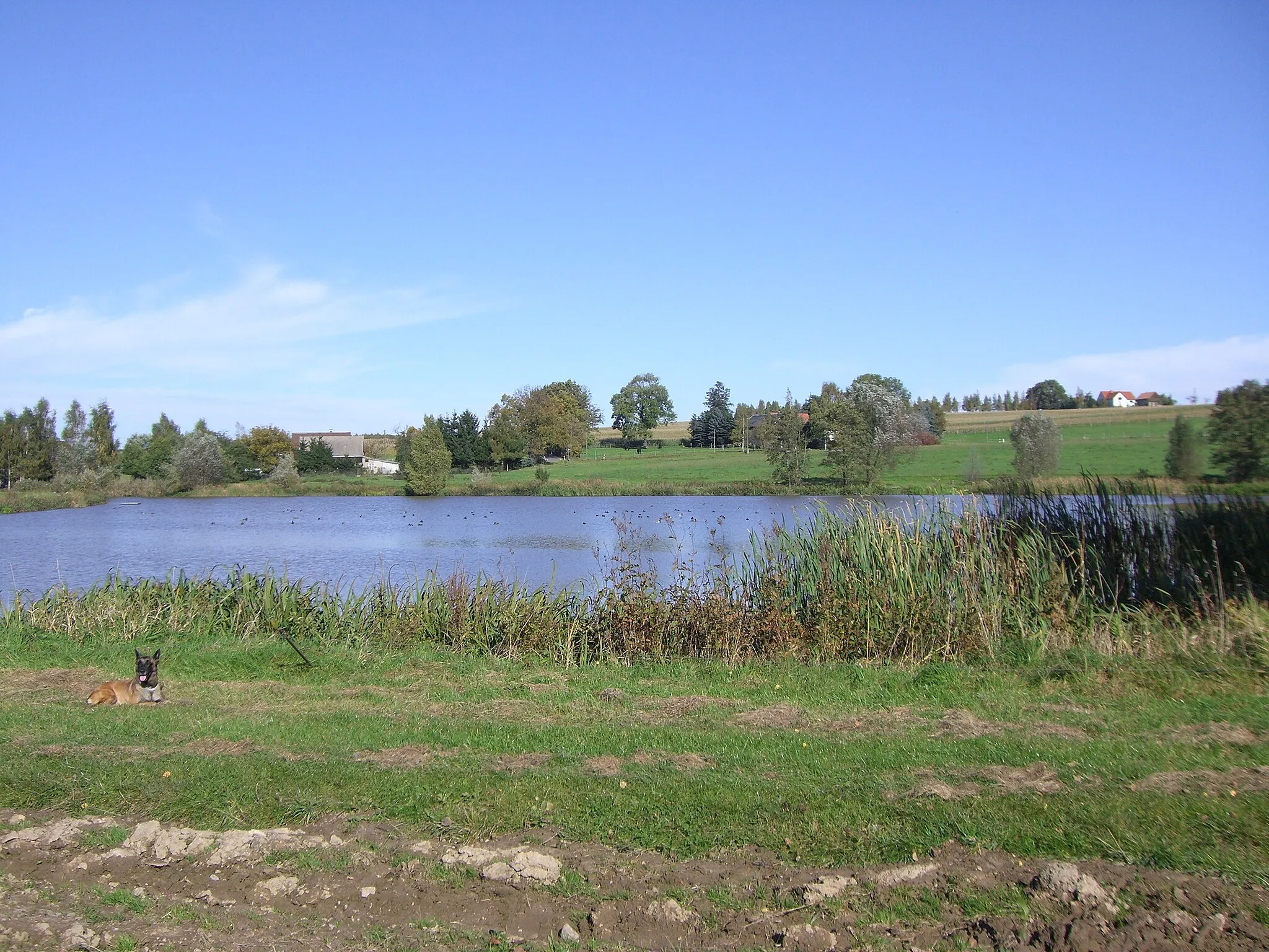 Photo showing: Erlicht, Lösch- und Angelteich