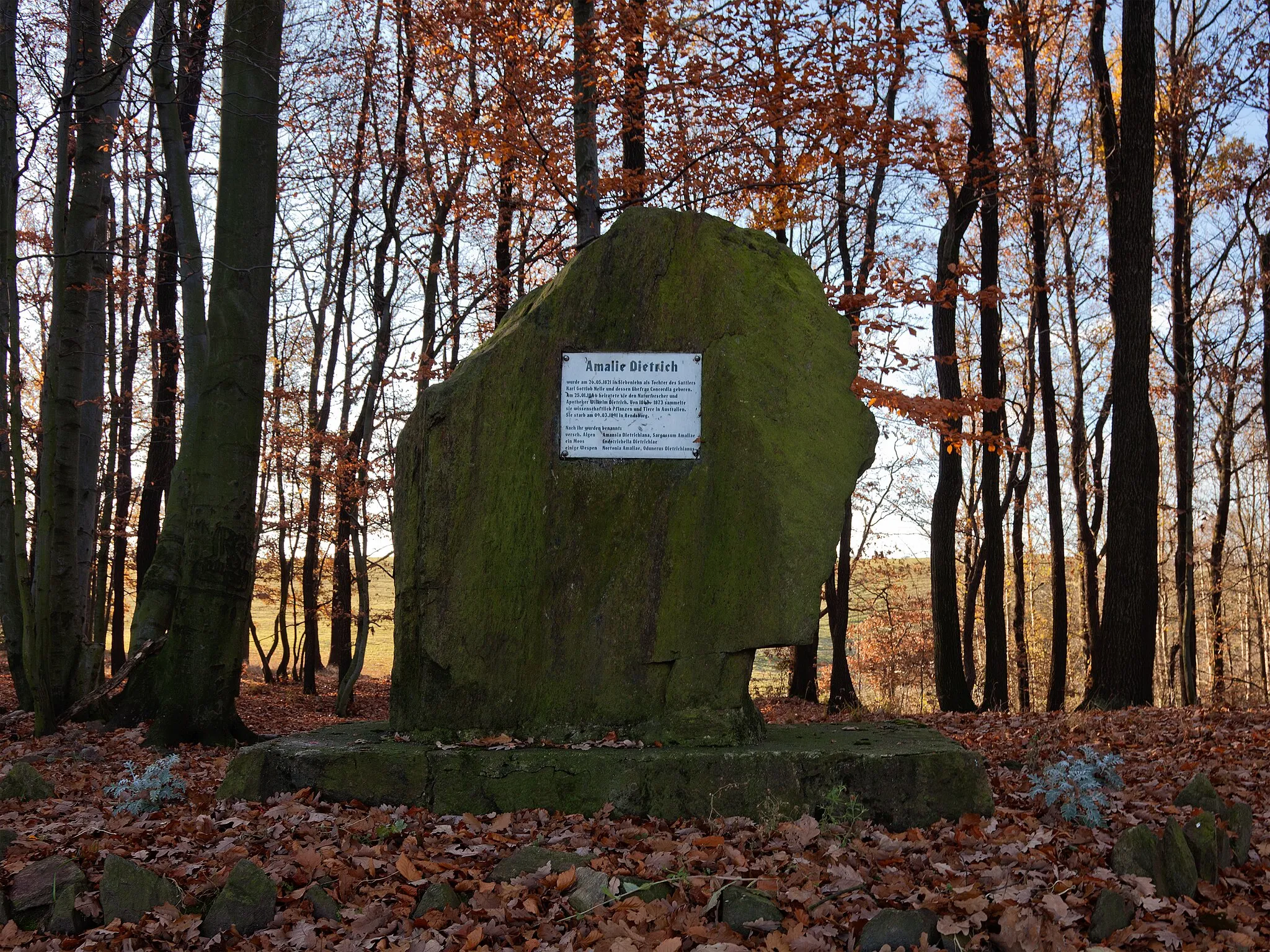 Photo showing: Monument to Amalie Dietrich near Siebenlehn, Saxony