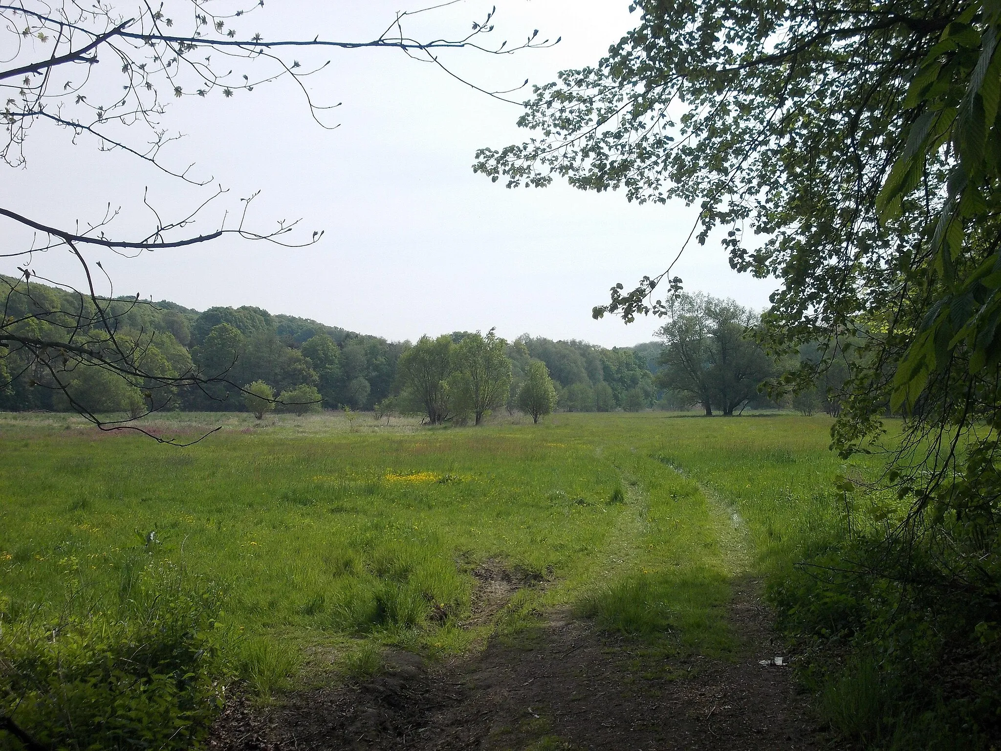 Photo showing: Landscape protection area "Muldental near Nossen" (Meissen district, Saxony)