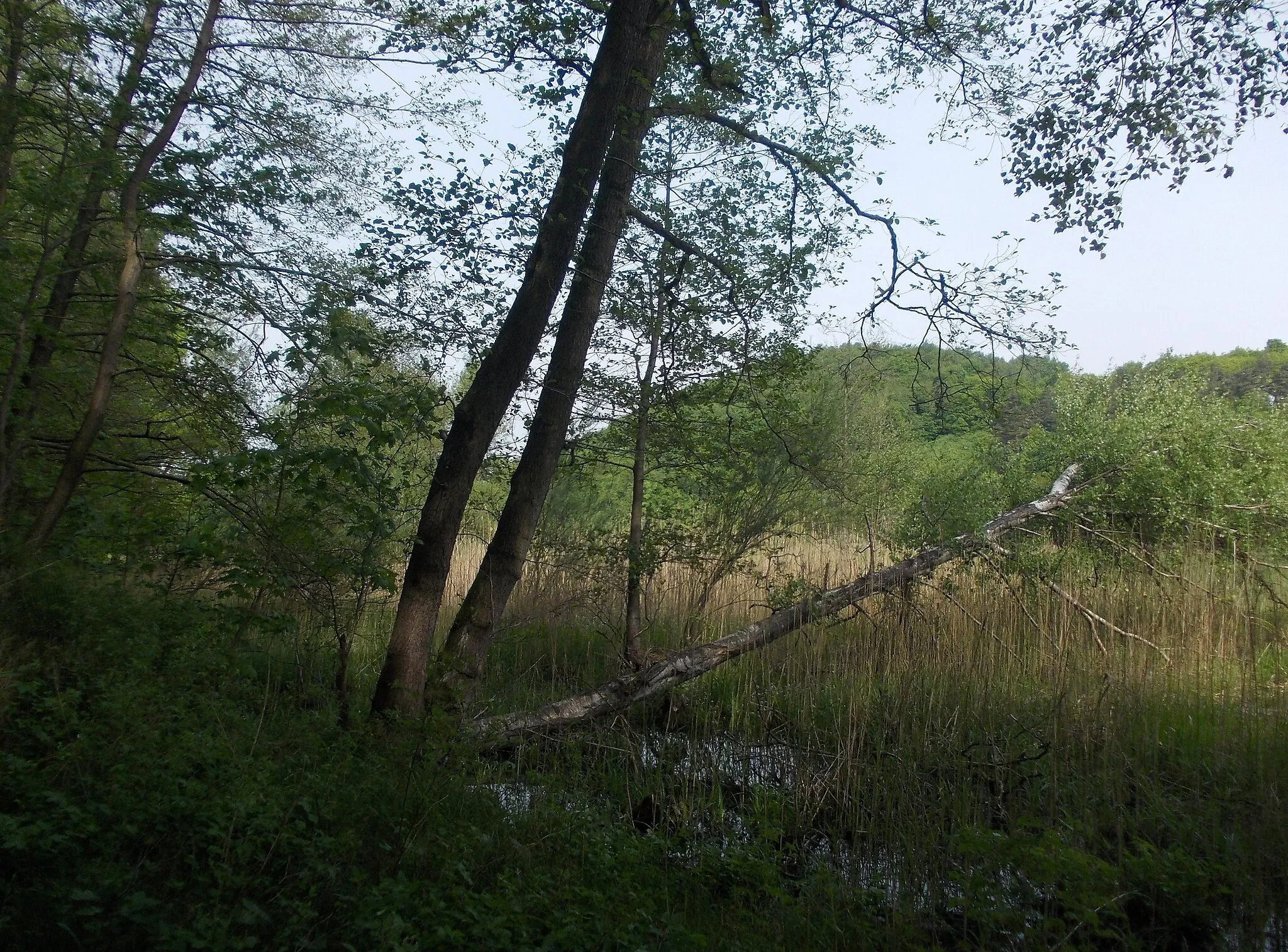 Photo showing: Landscape protection area "Muldental near Nossen" (Meissen district, Saxony)