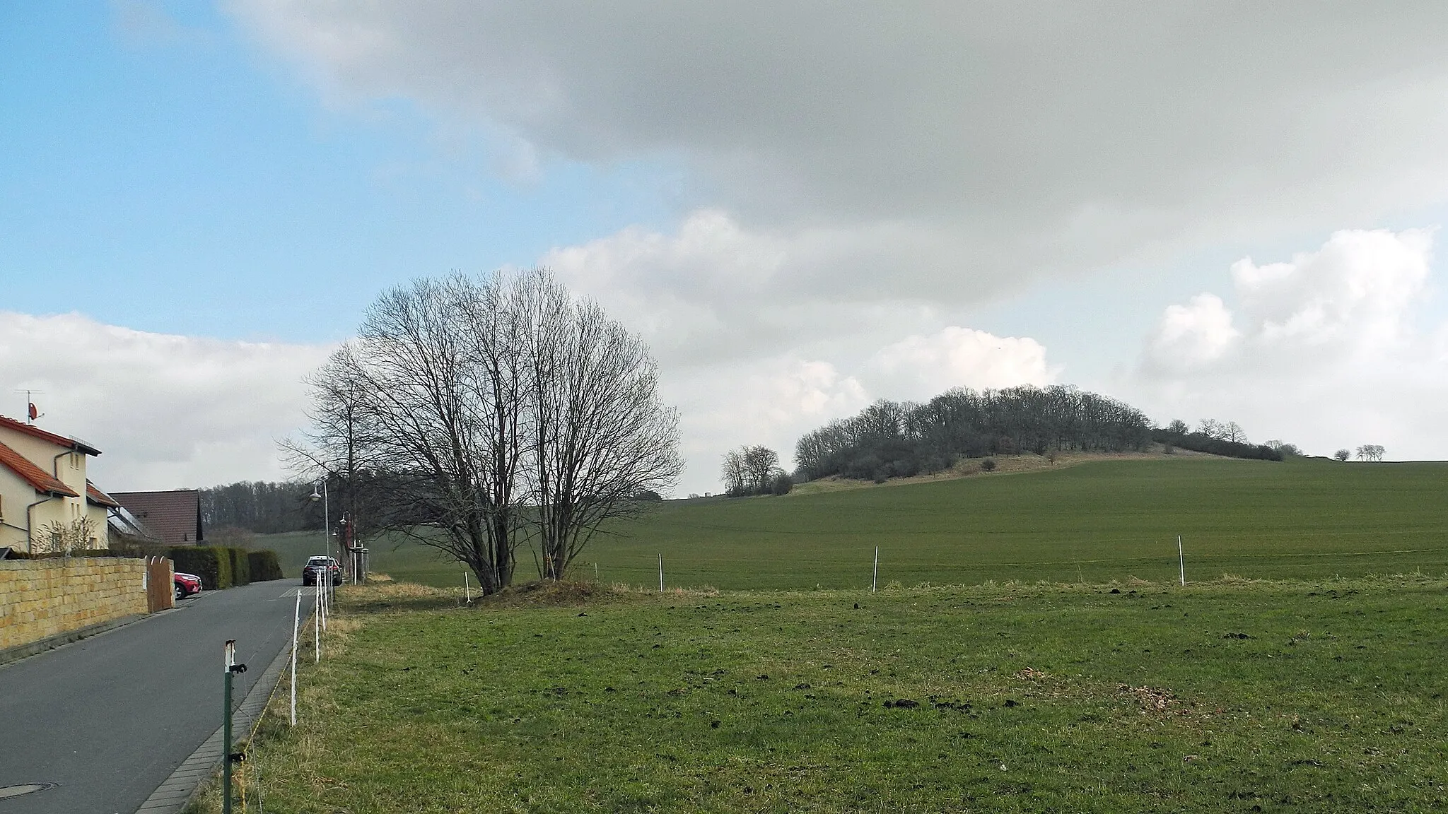 Photo showing: Blick von der Straße „Am Hermsberg“ in Dresden-Weißig zum Hermsberg