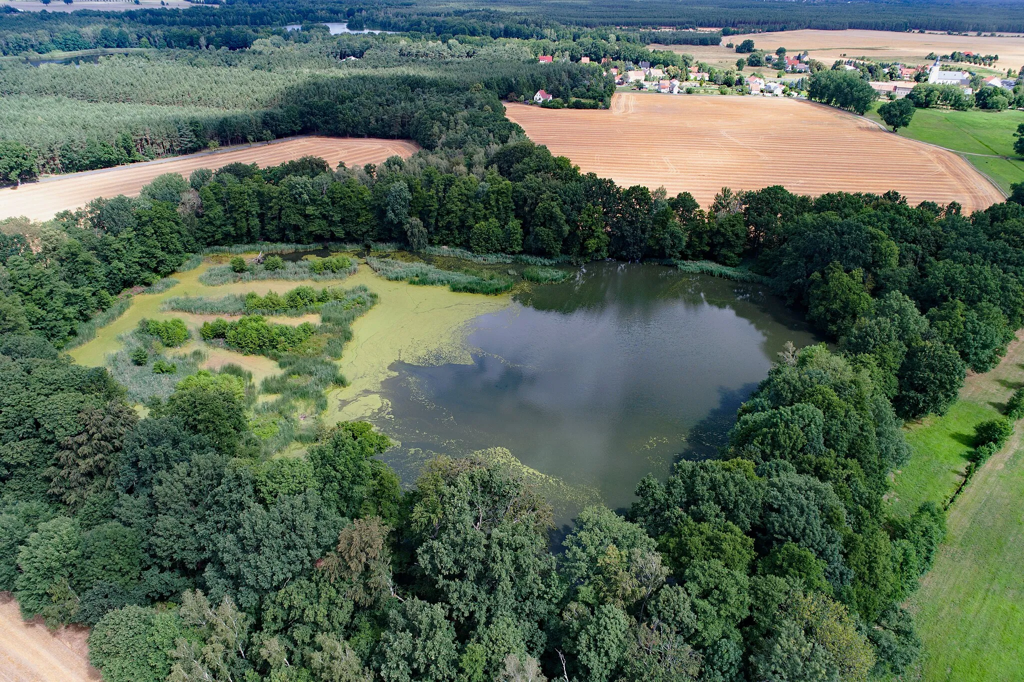 Photo showing: Erlenteich near Großgrabe (Bernsdorf, Saxony, Germany)