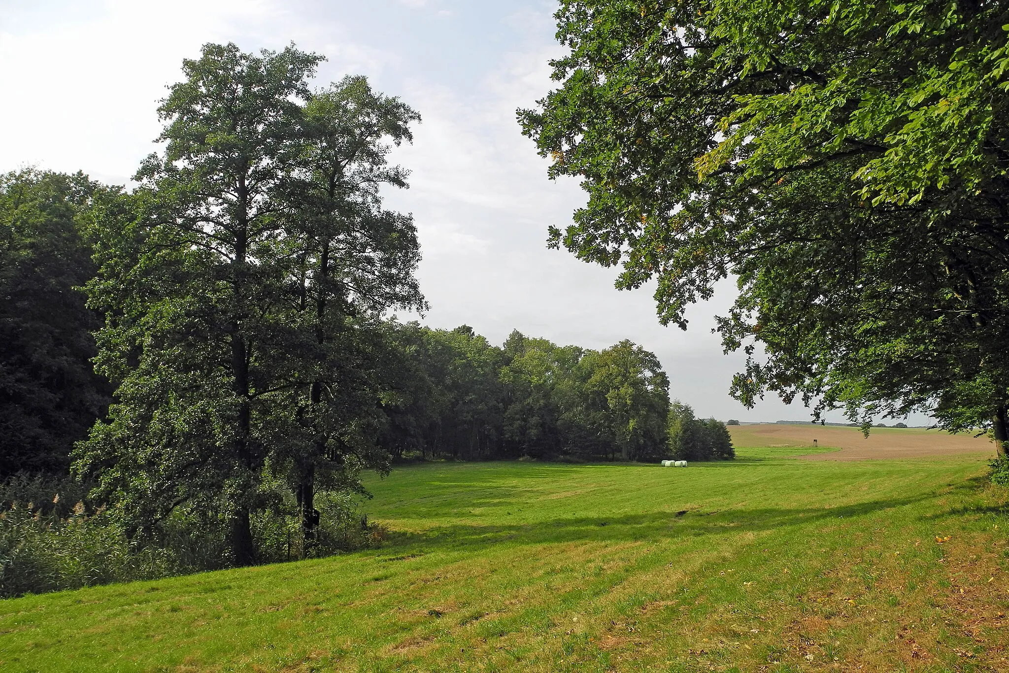 Photo showing: Im Tal des Katharinenwassers am Katzenbergwald bei Stolpen